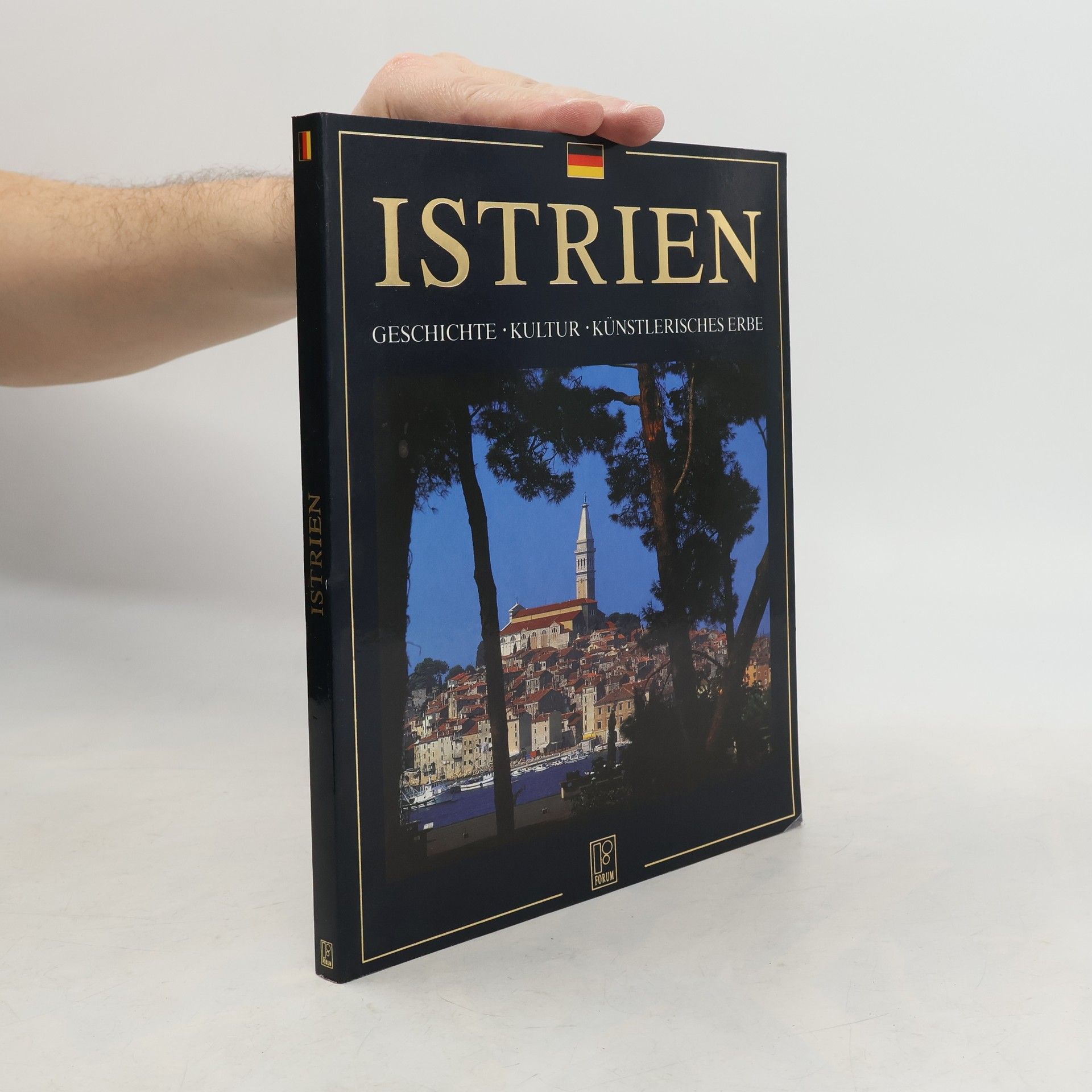 Antun Travirka Istria: History, Culture, Heritage