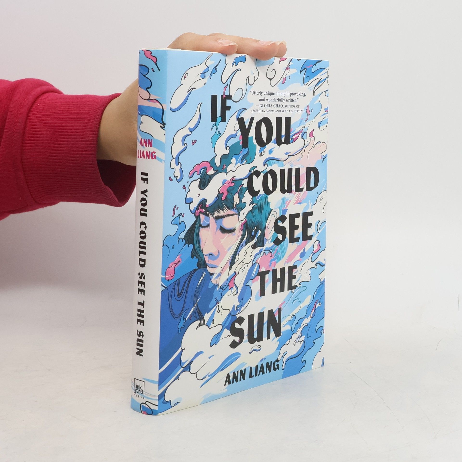 Ann Liang If you could see the sun