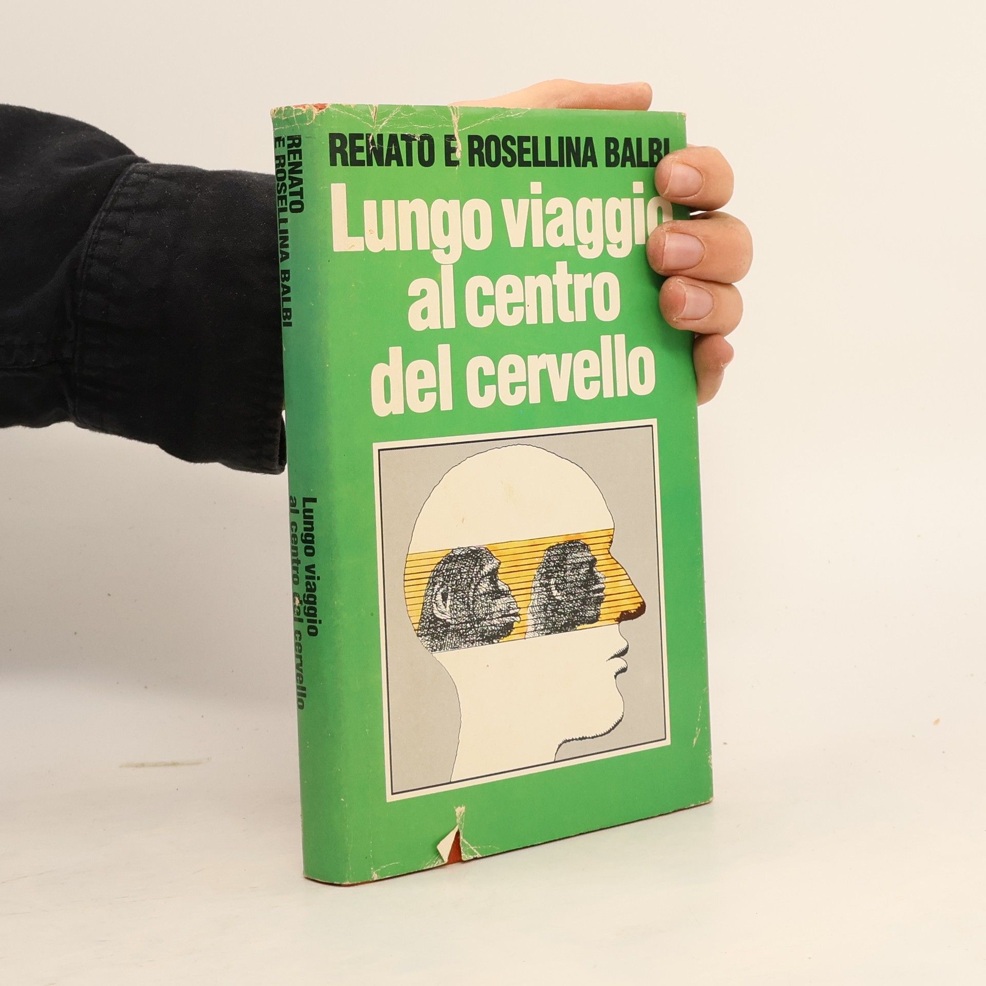 Renato Balbi Lungo viaggio al centro del cervello