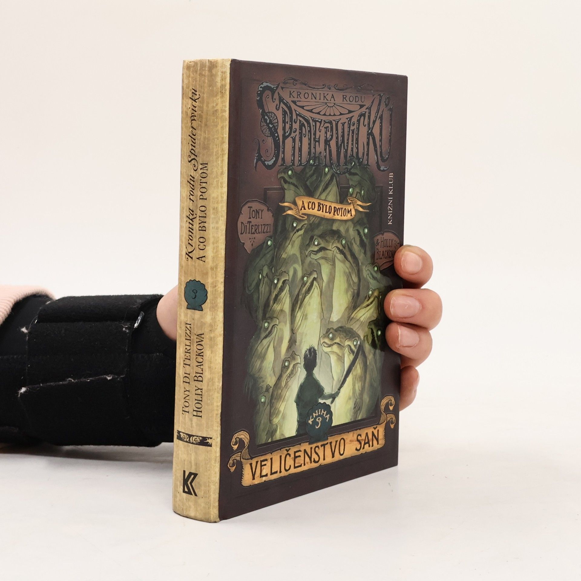 Tony Di Terlizzi Kronika rodu Spiderwicků - a co bylo potom. Kniha 3, Veličenstvo saň