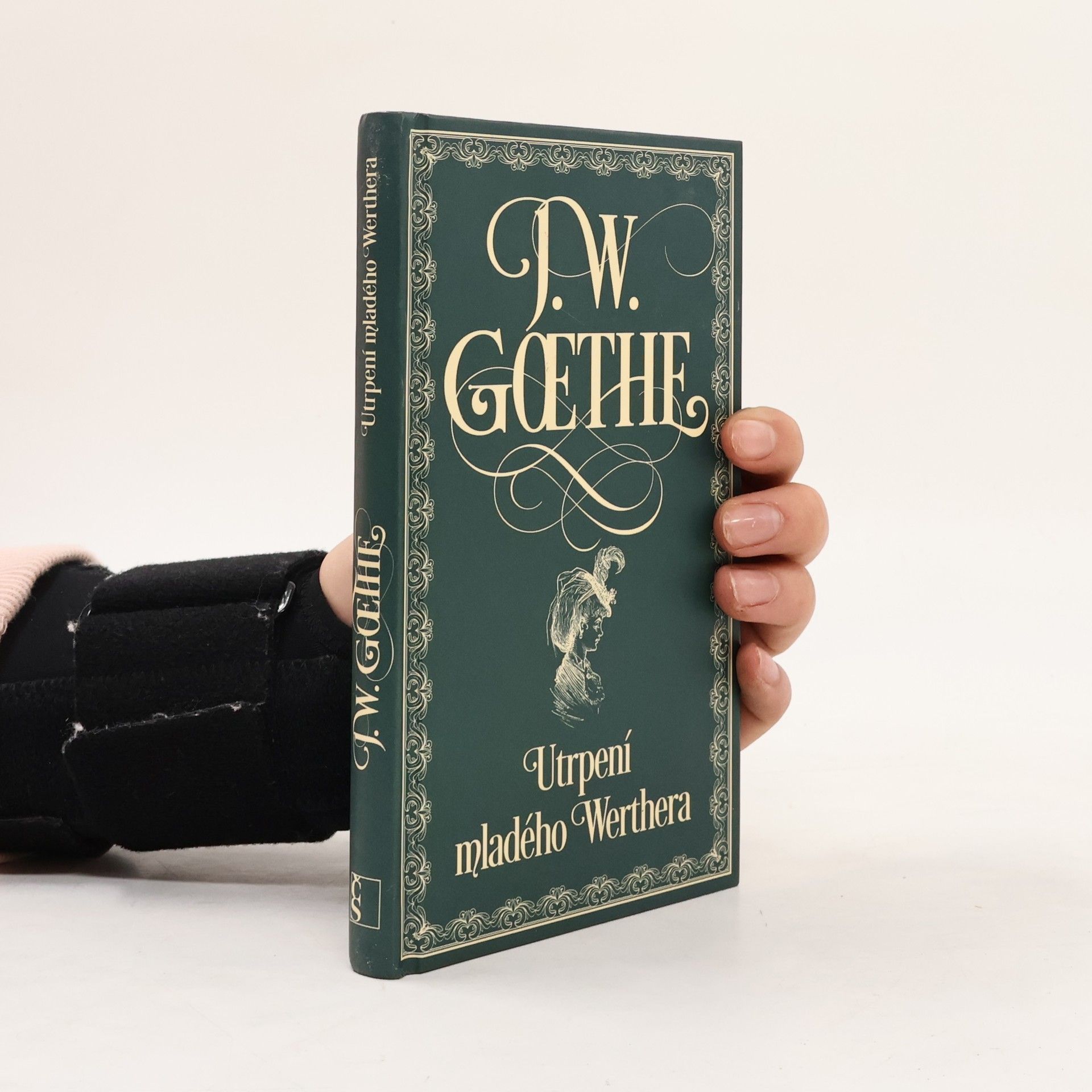 Johann Wolfgang von Goethe Utrpení mladého Werthera