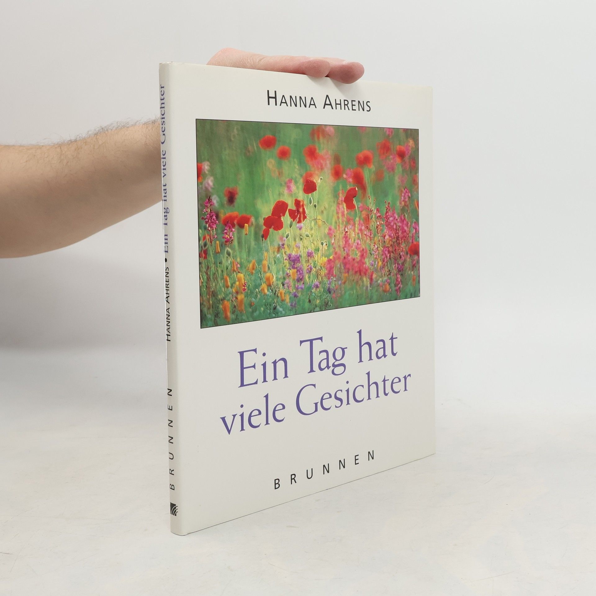 Hanna Ahrens Ein Tag hat viele Gesichter