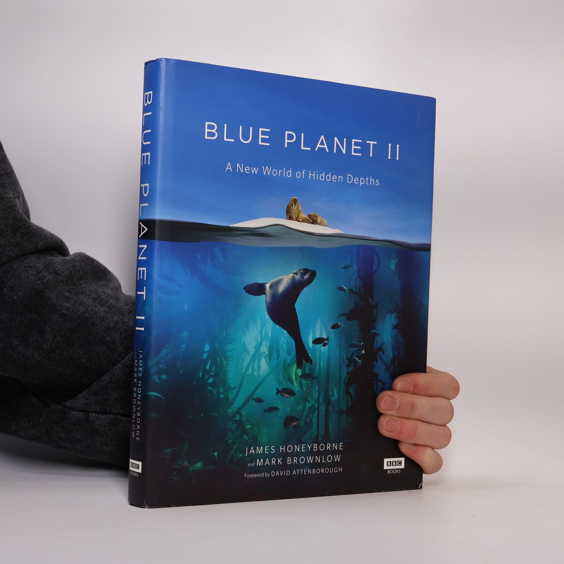 Blue Planet II