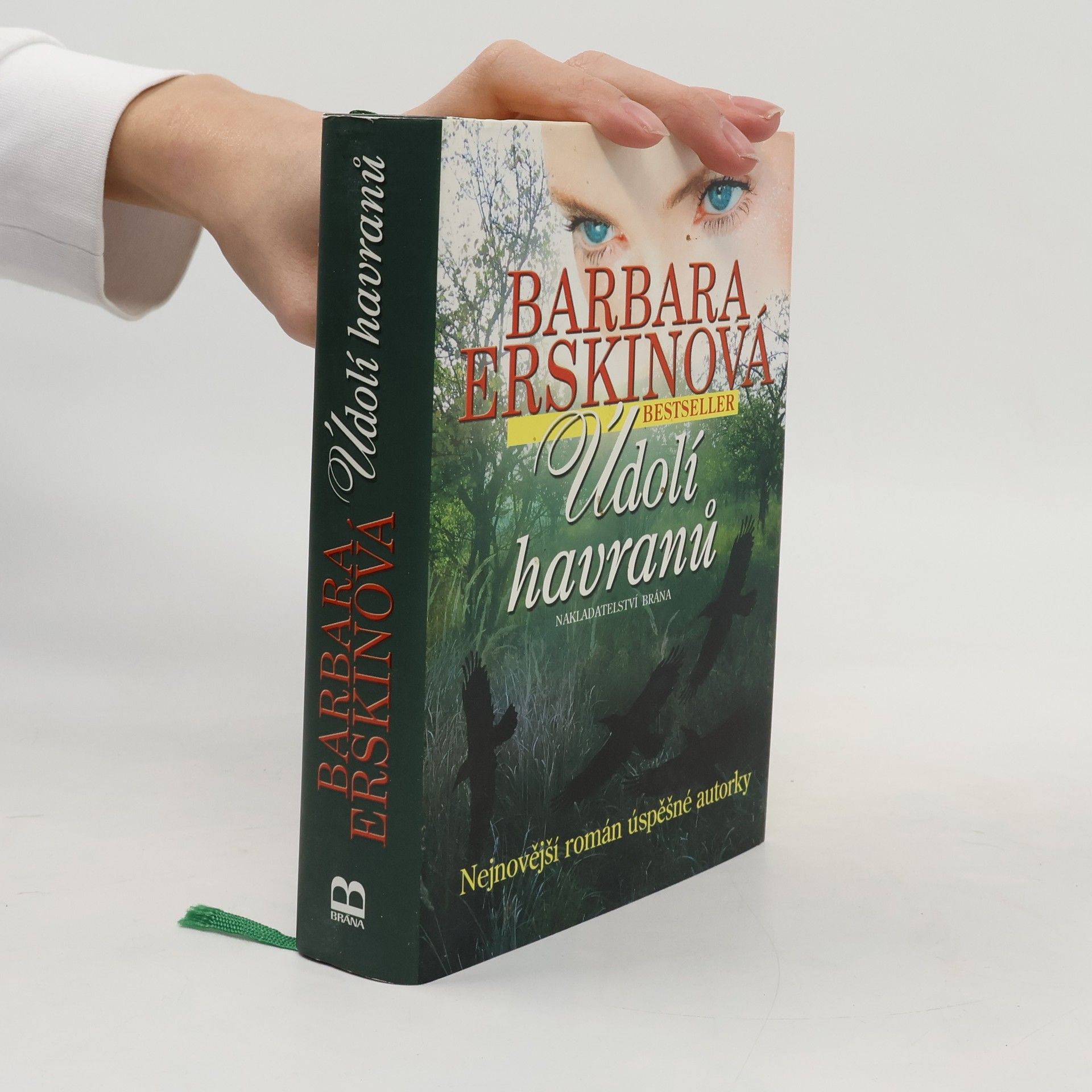 Barbara Erskine Údolí havranů