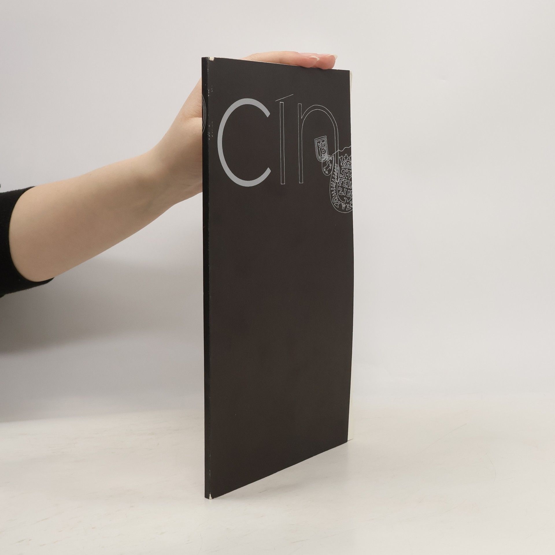 Kolektiv autorů Cín