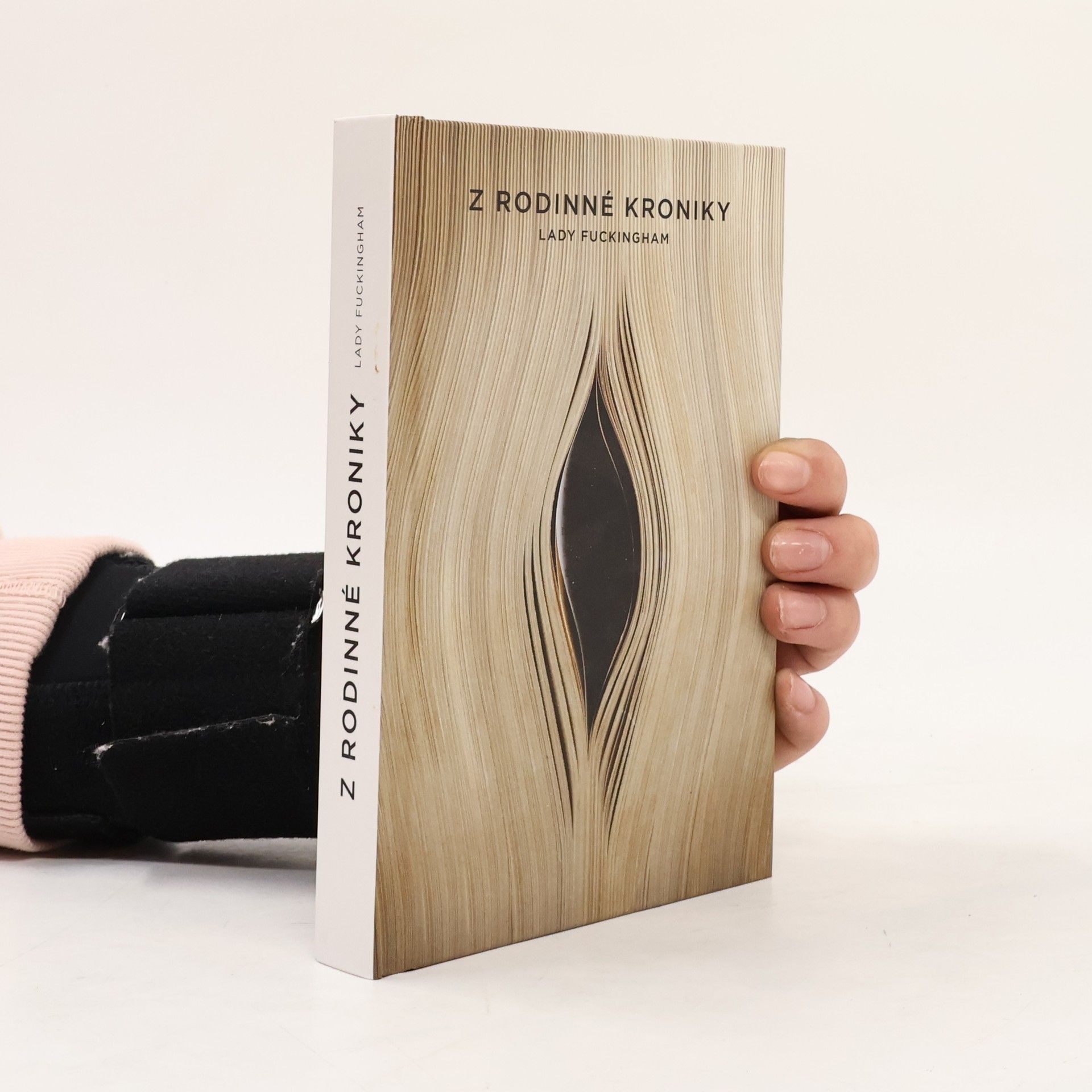 Kolektiv autorů Z rodinné kroniky Lady Fuckingham