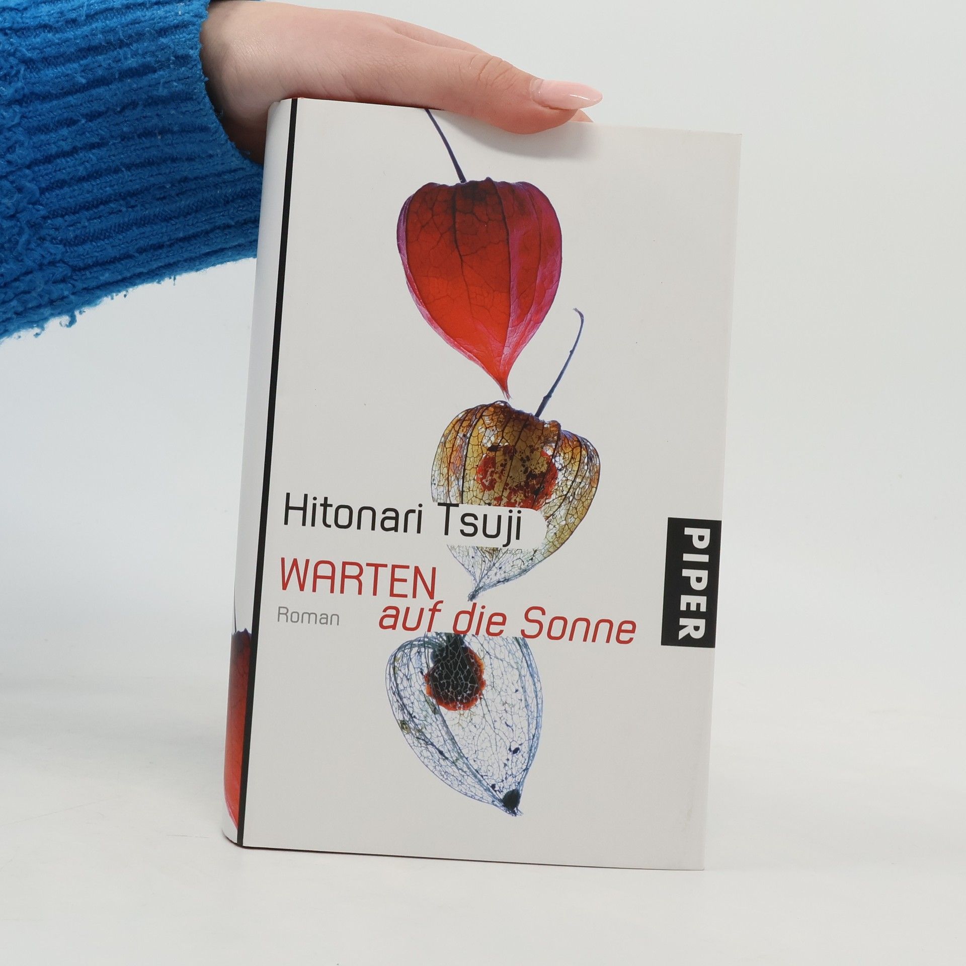 Hitonari Tsuji Warten auf die Sonne