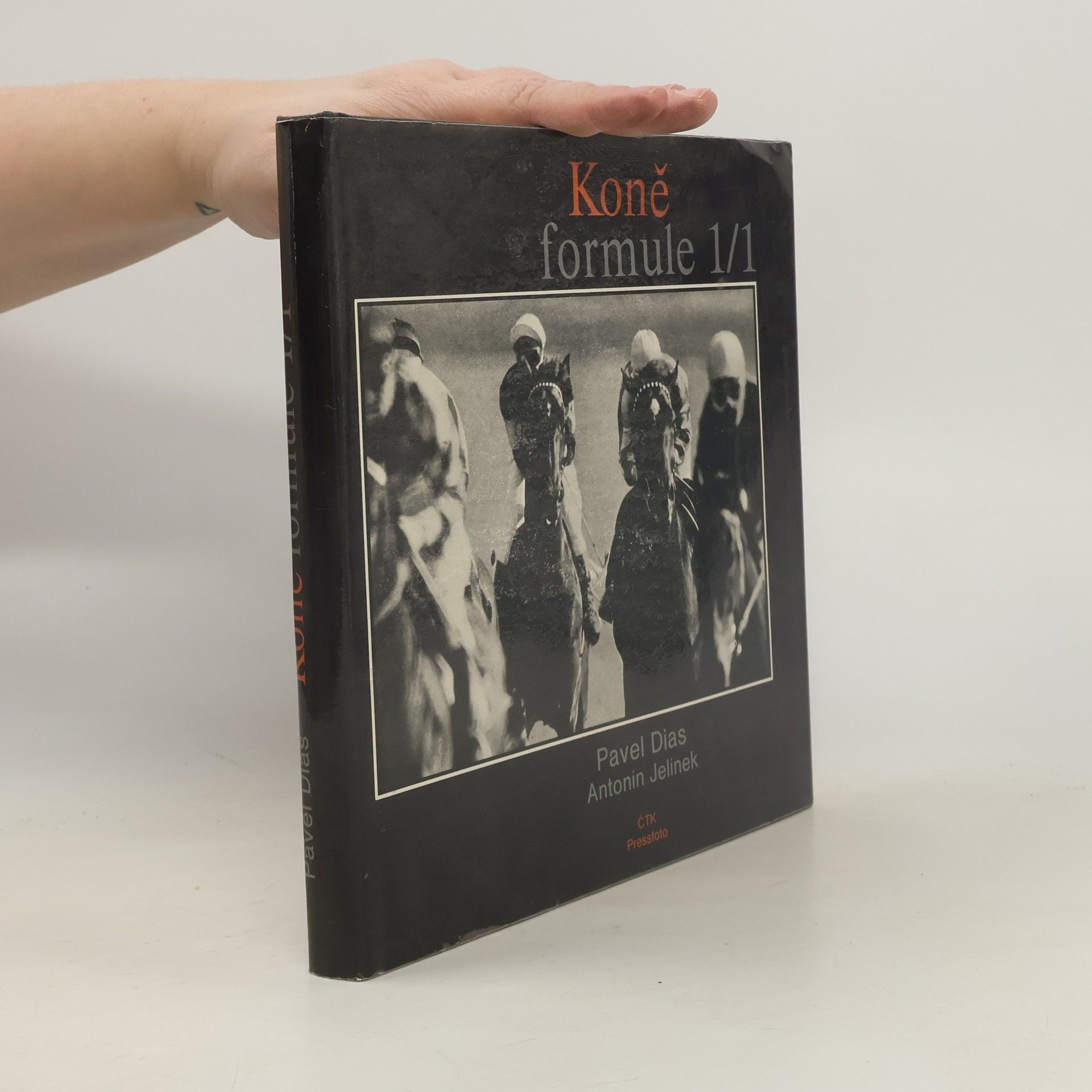 Pavel Dias Koně formule 1/1