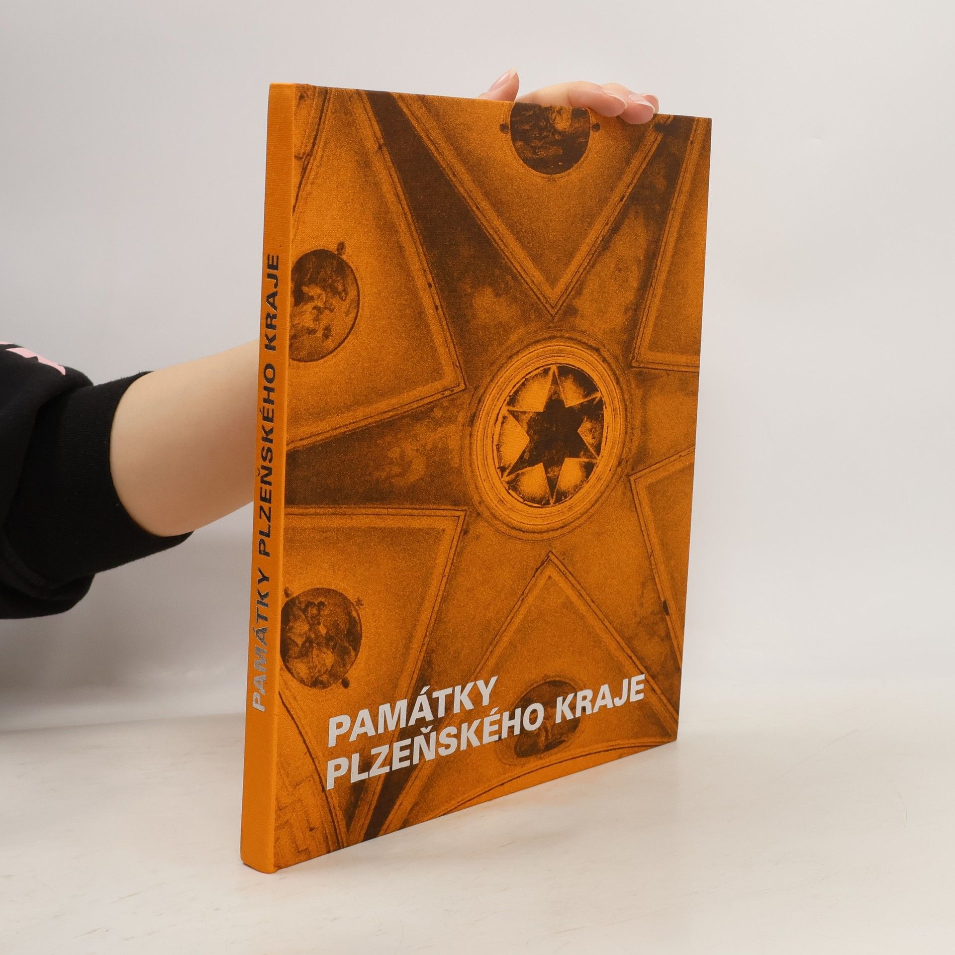 Irena Bukačová Památky Plzeňského kraje : koncepce podpory státní památkové péče v Plzeňském kraji