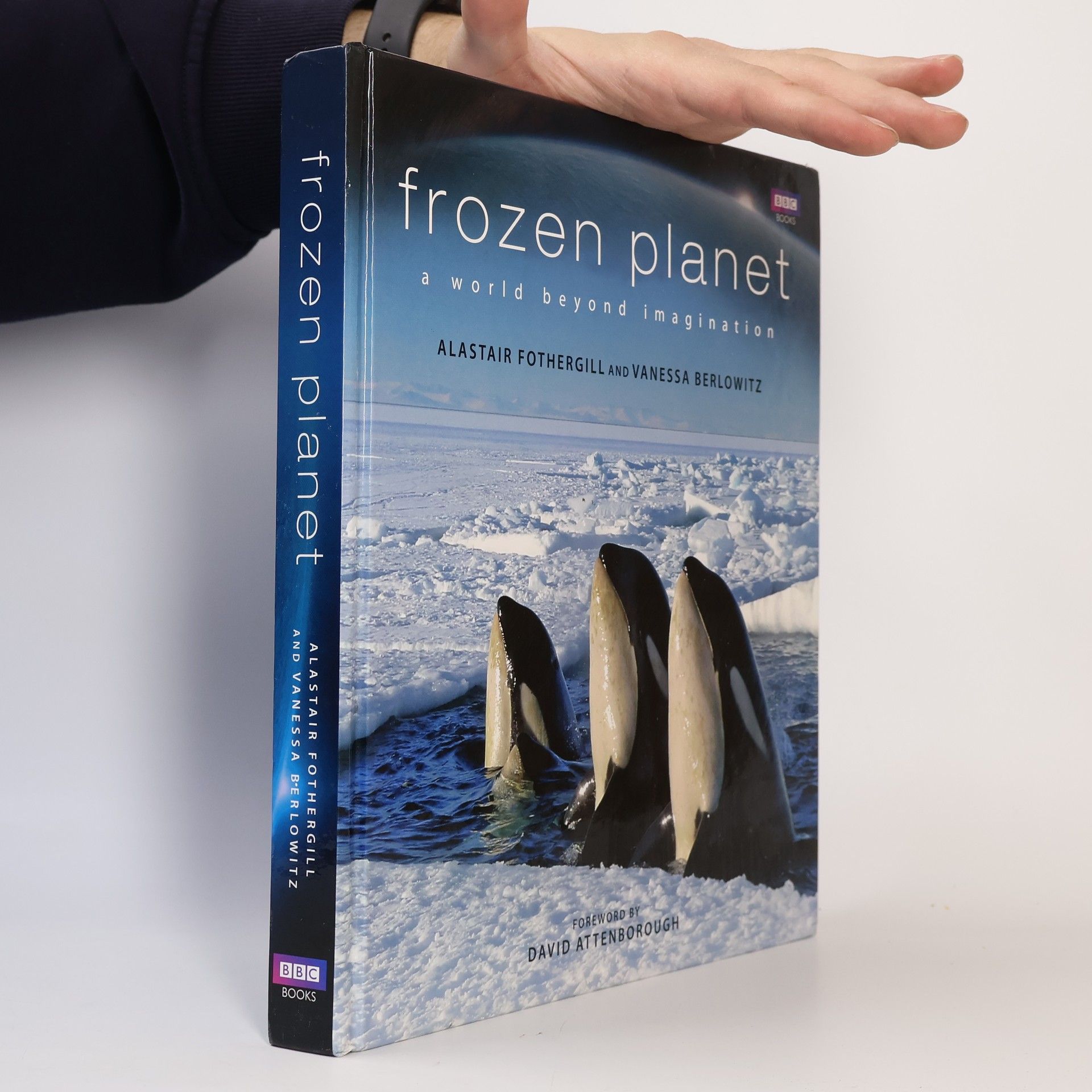 Frozen Planet