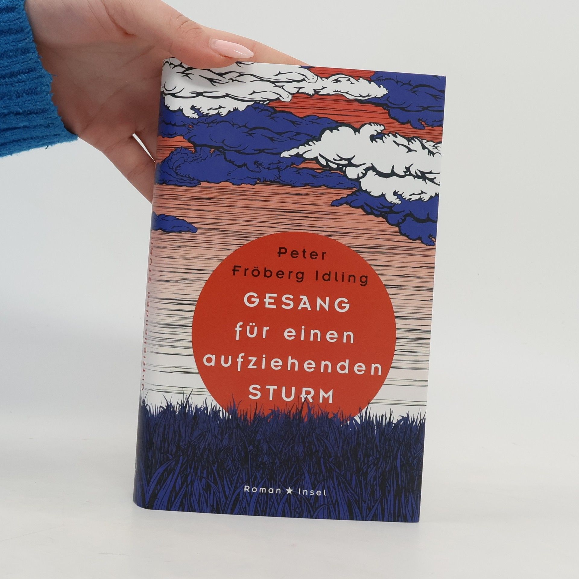 Peter Fröberg Idling Gesang für einen aufziehenden Sturm