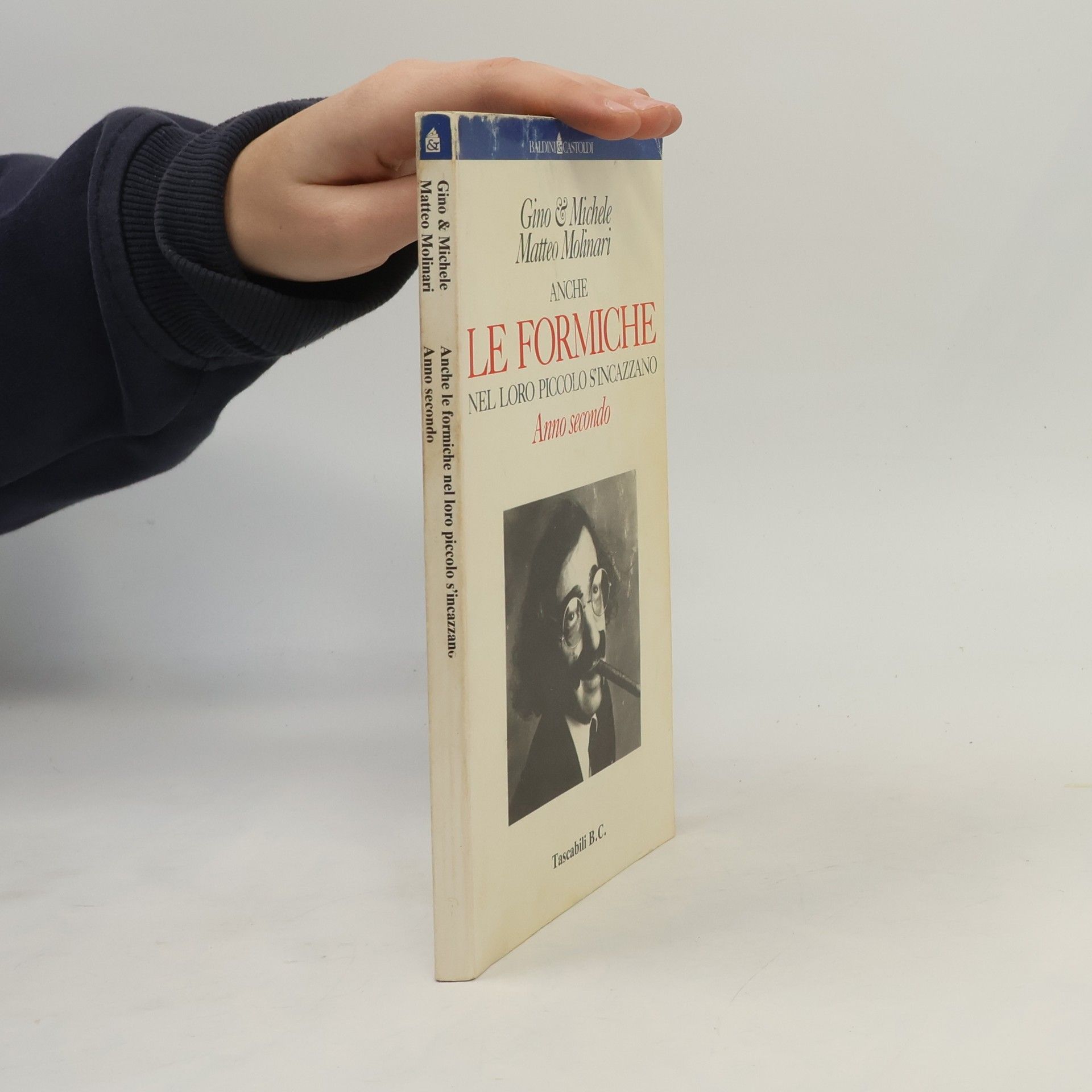 Gino Vignali Anche le formiche nel loro piccolo s'incazzano