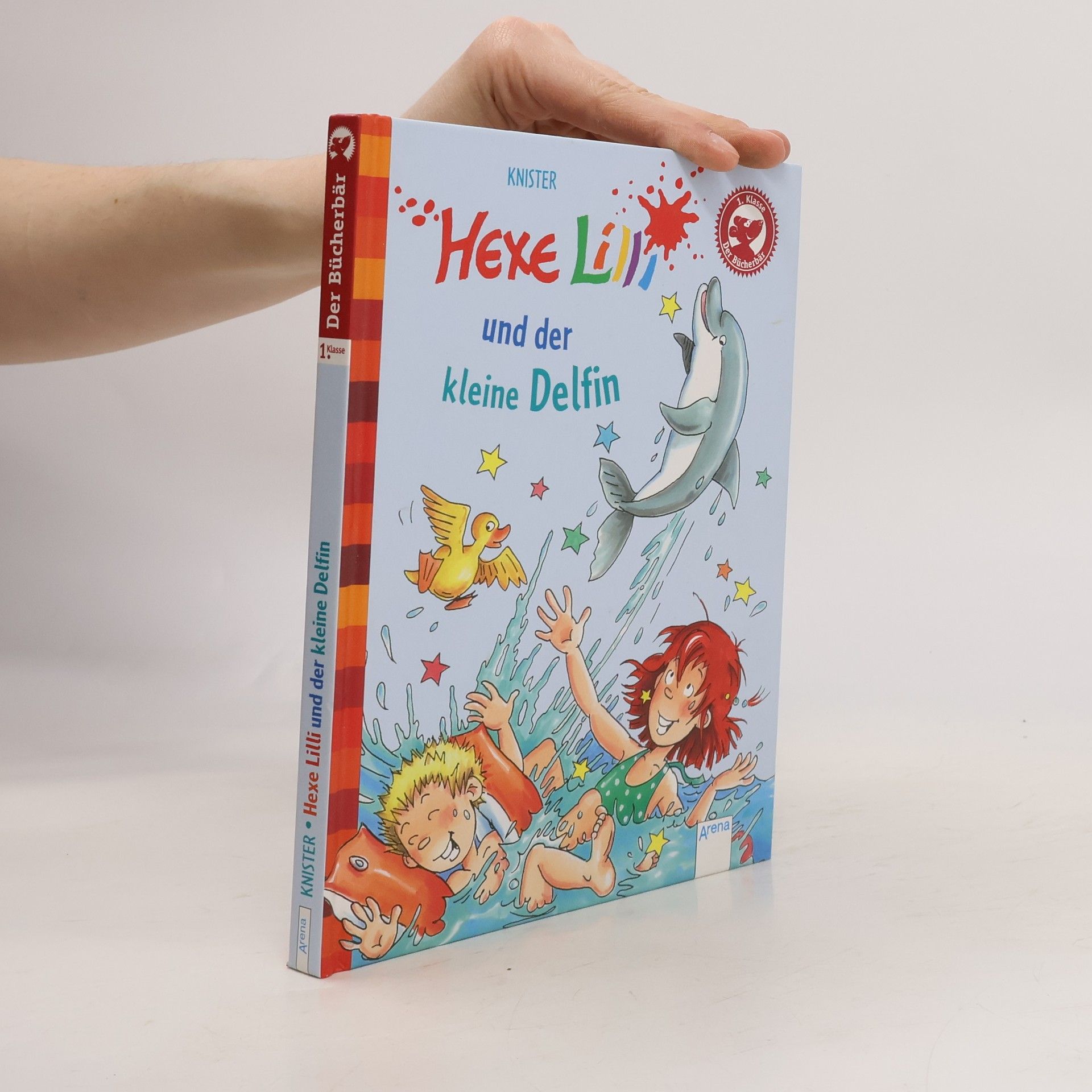 Knister Hexe Lilli und der kleine Delfin