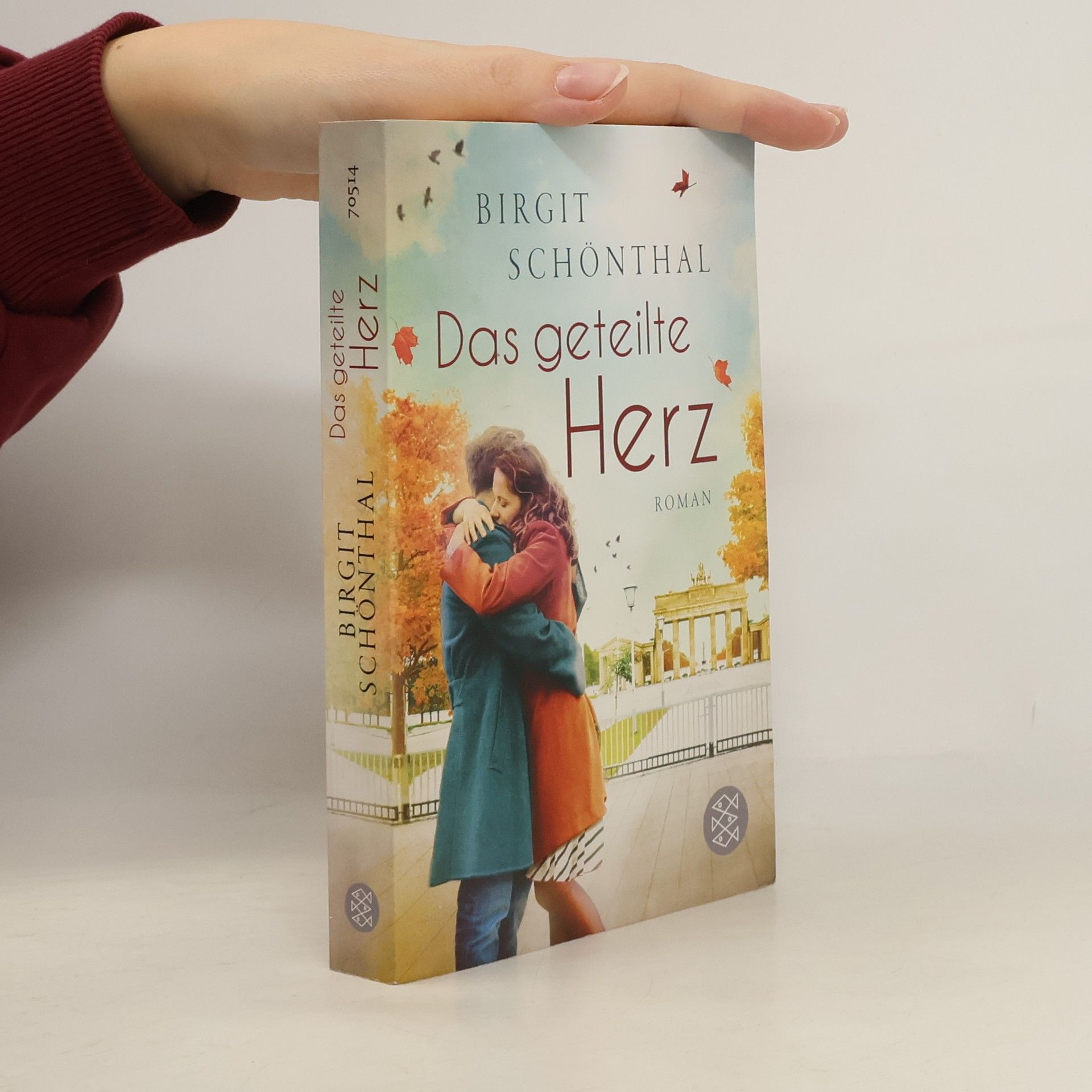 Birgit Schönthal Das geteilte Herz