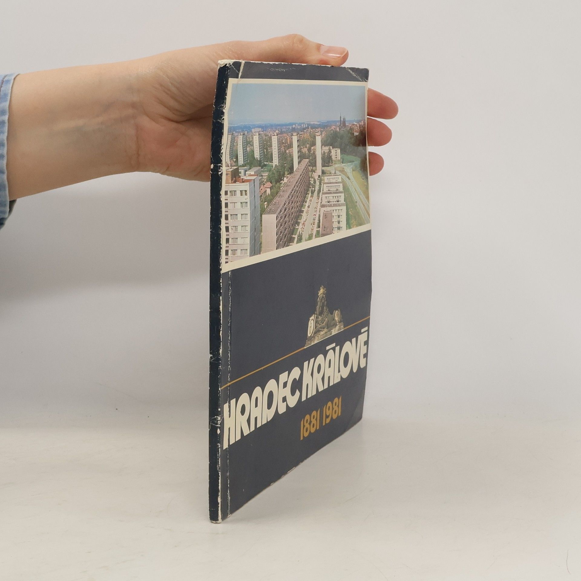 Autorenkollektiv Hradec Králové 1881 / 1981. Proměny architektury a rozvoj města