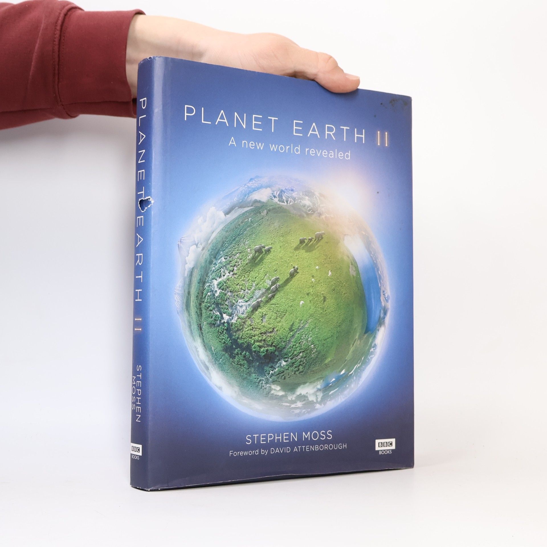 Stephen Moss Planet Earth II