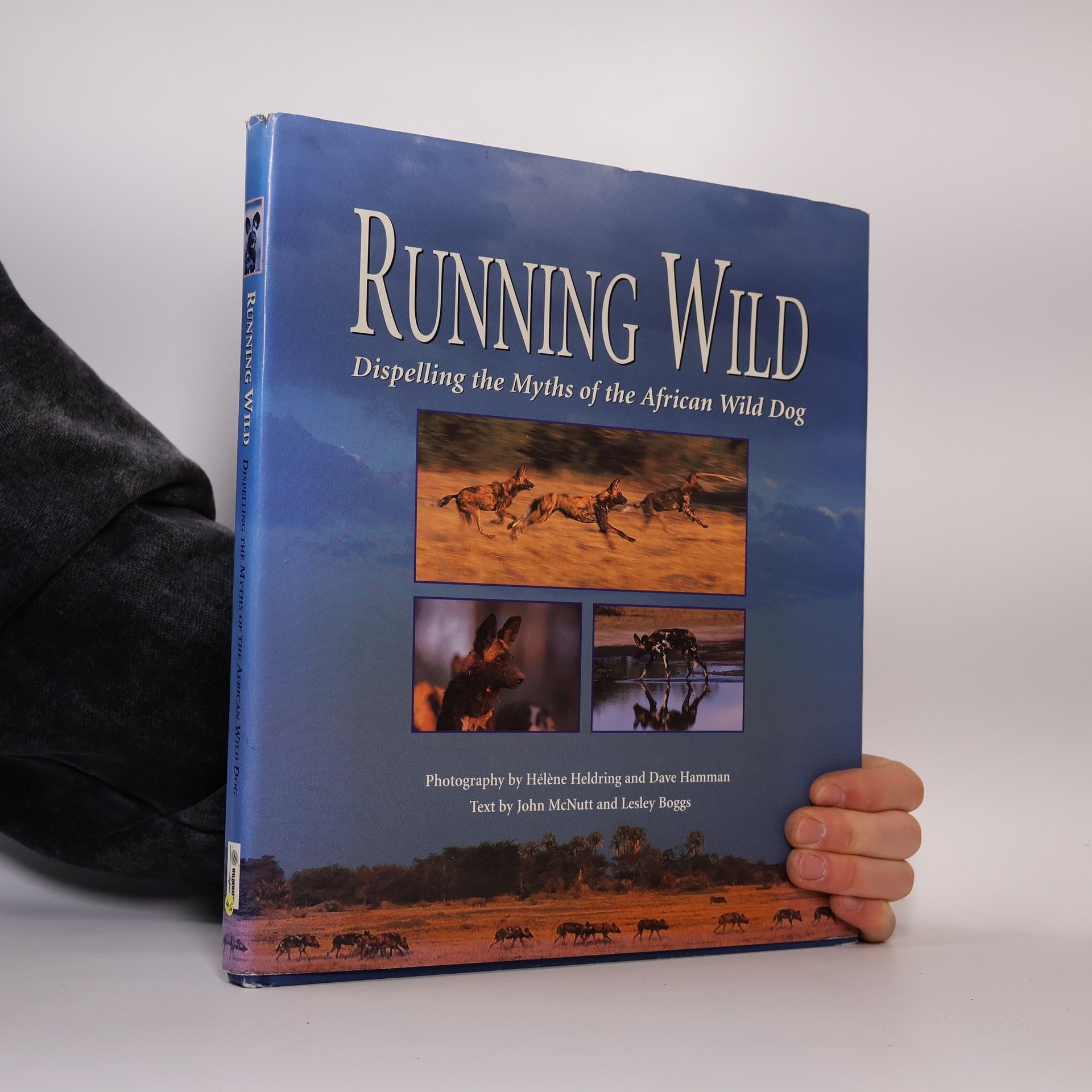 Hélène Heldring Running Wild