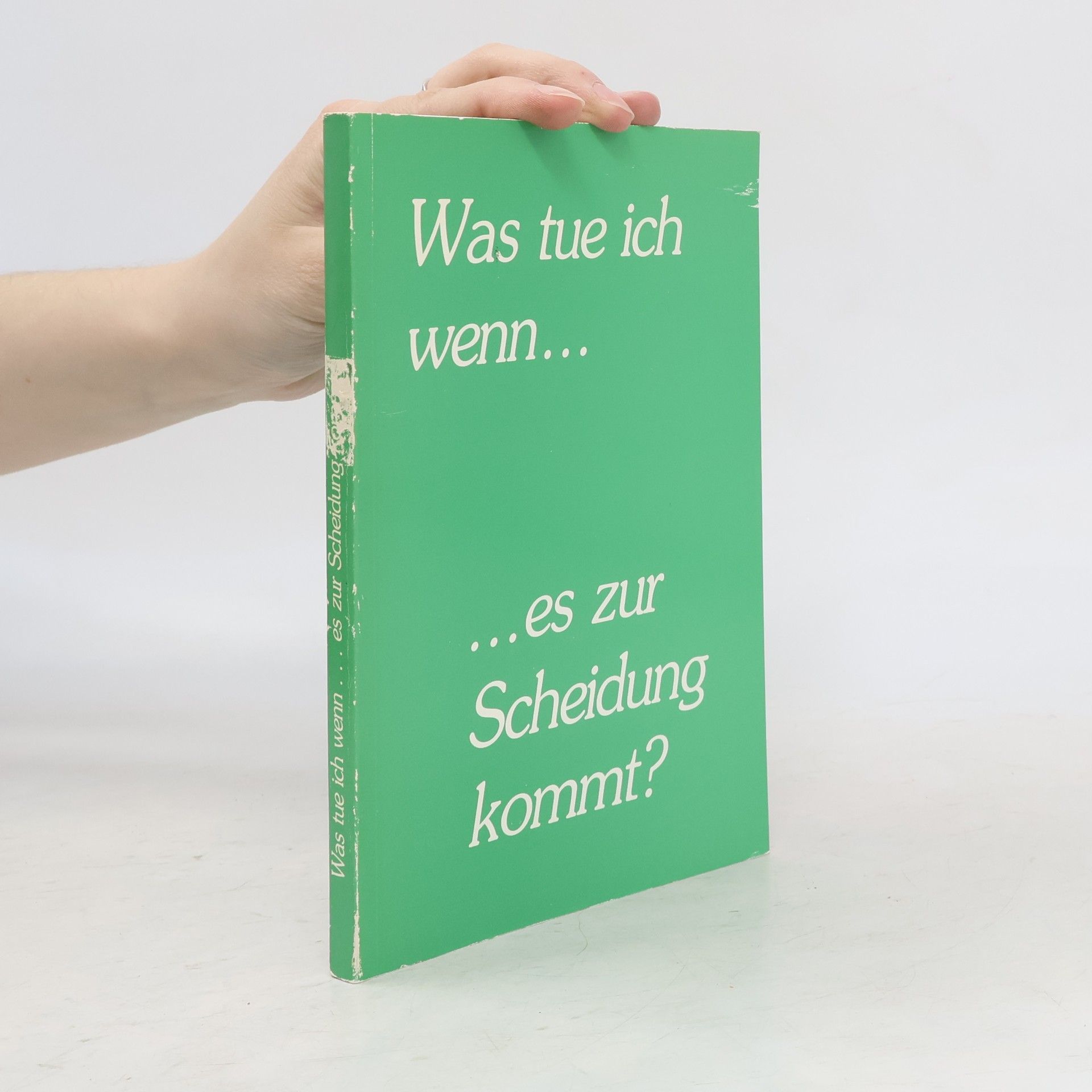 Auteurscollectief Was tue ich wenn... ...es zur Scheidung kommt?