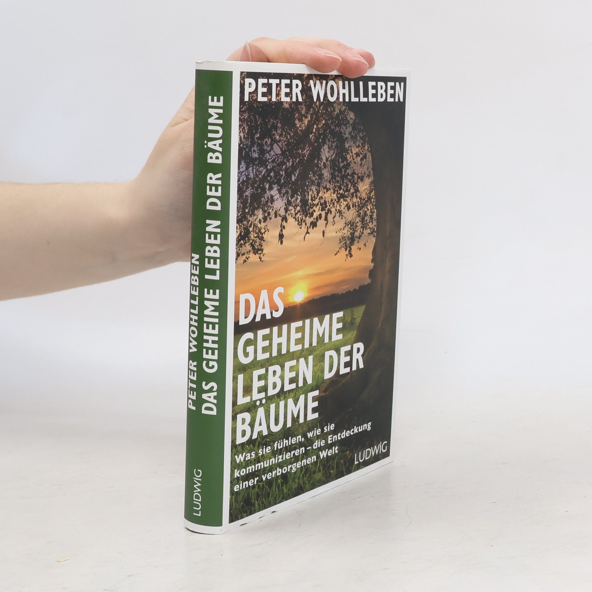 Peter Wohlleben Das geheime Leben der Bäume
