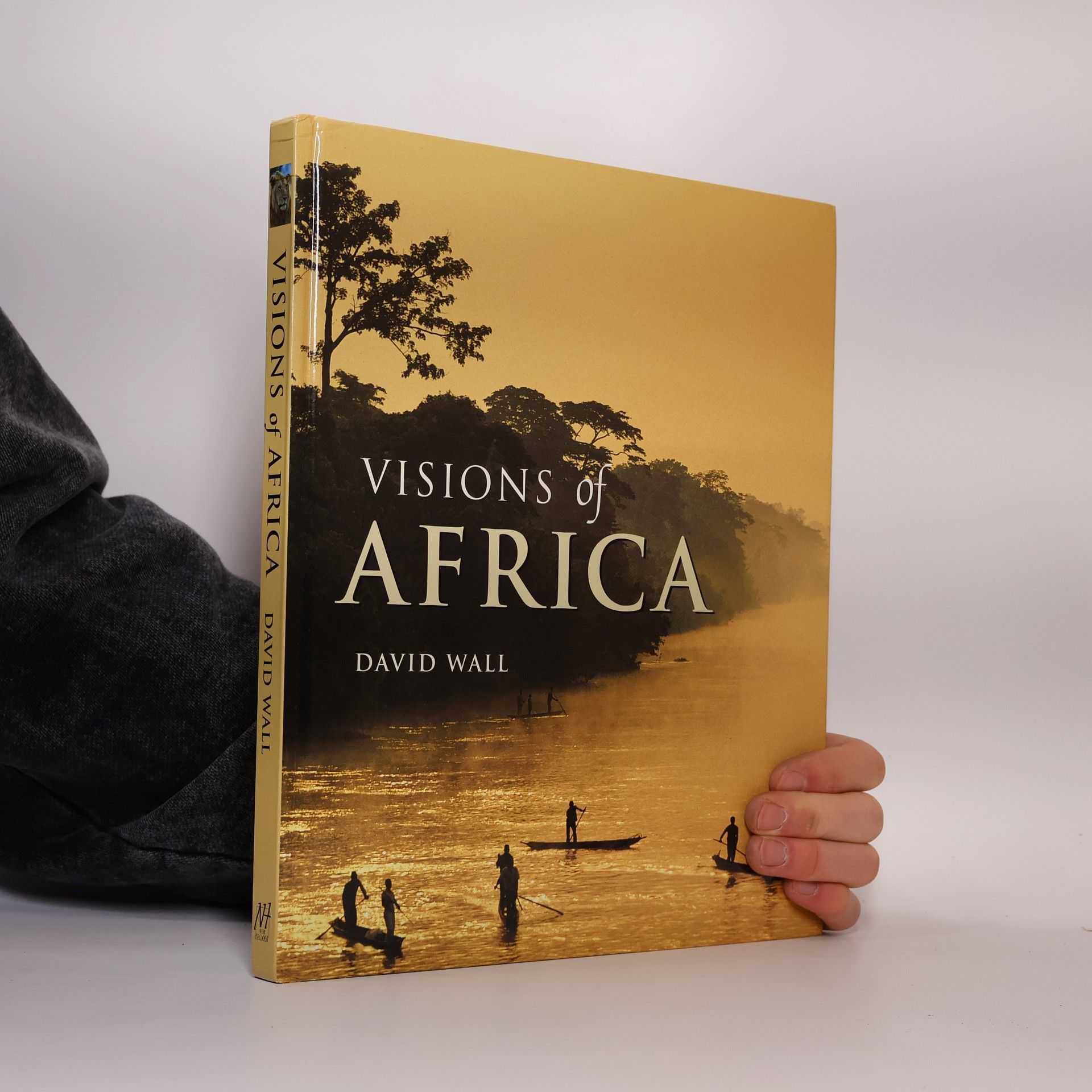 David Wall Visions of Africa