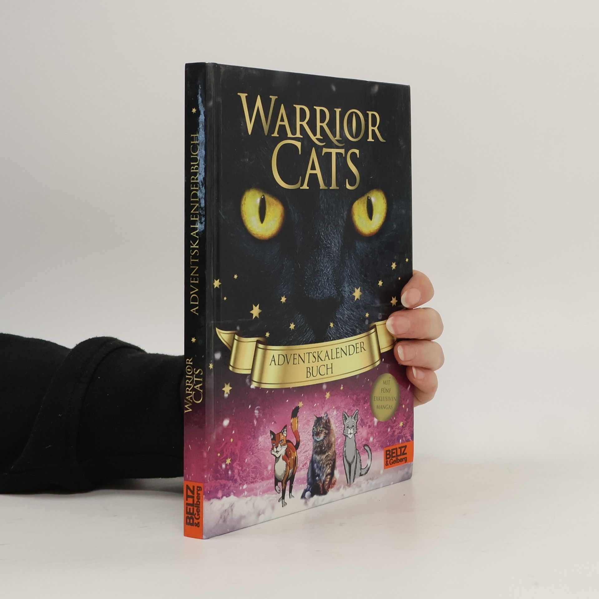 Erin Hunter Warrior Cats - Adventskalenderbuch