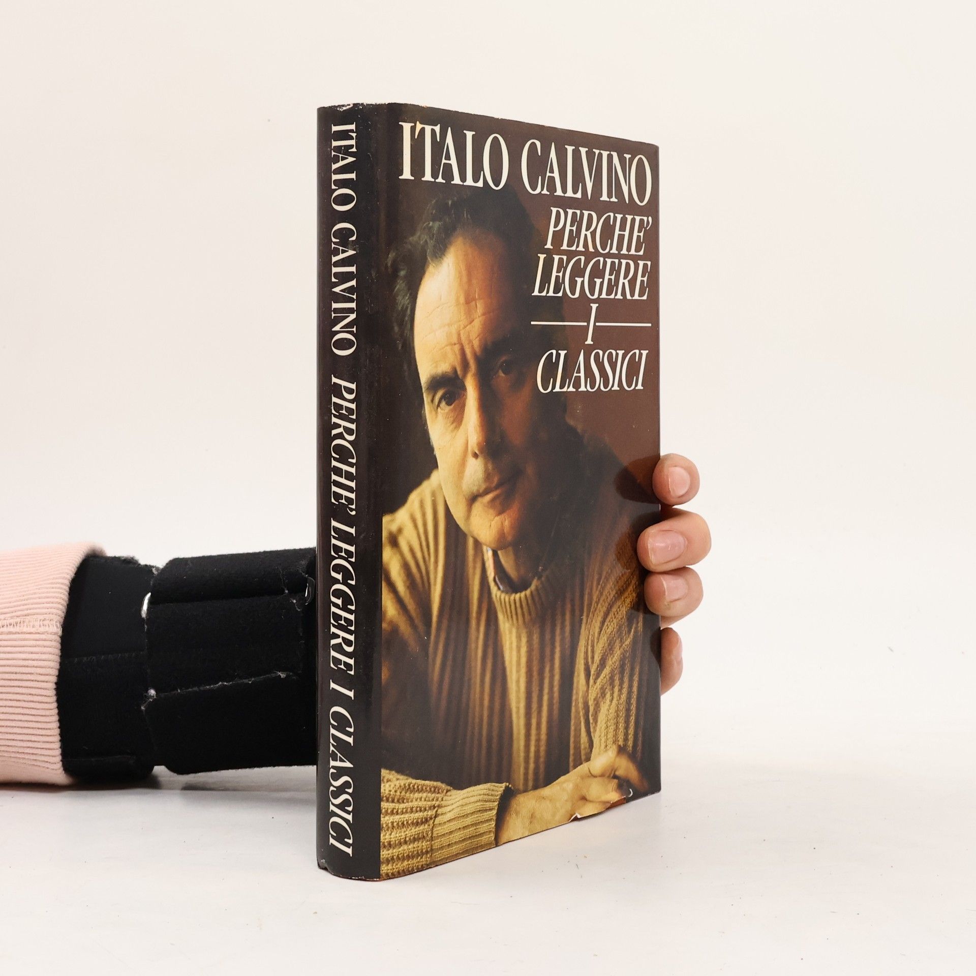 Italo Calvino Perché leggere i classici