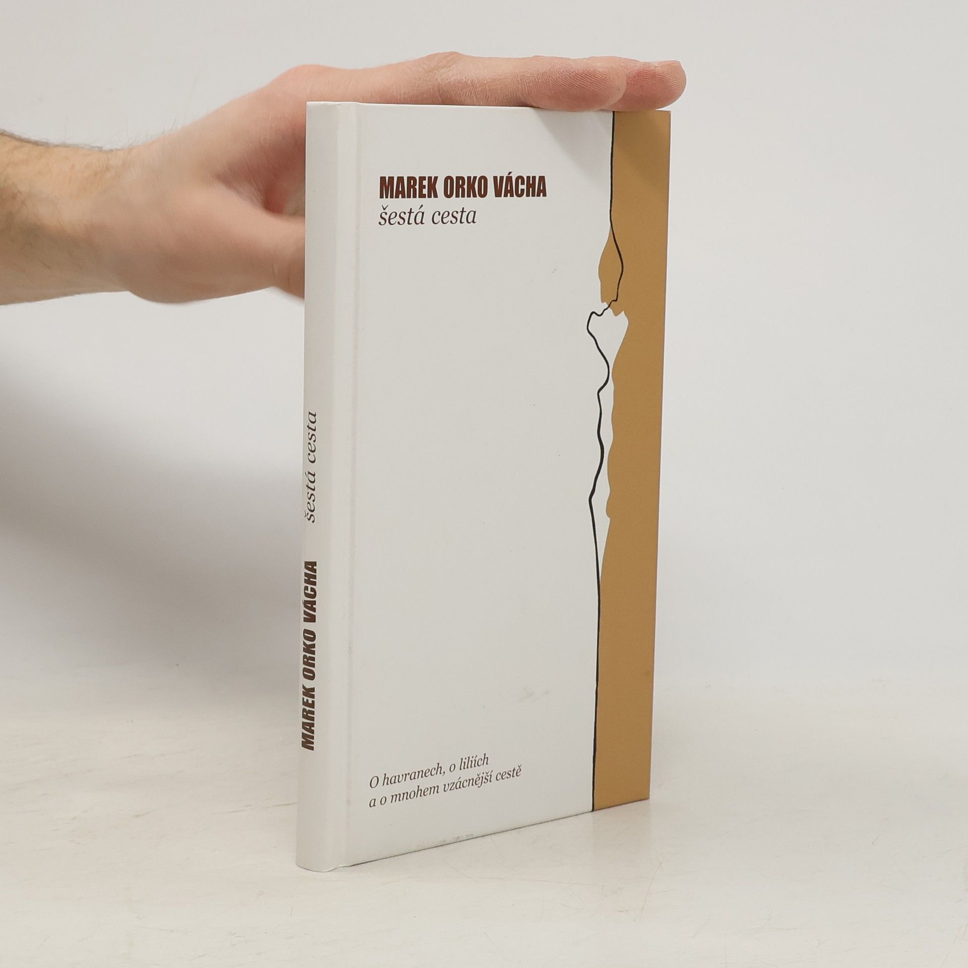 Marek Orko Vácha Šestá cesta