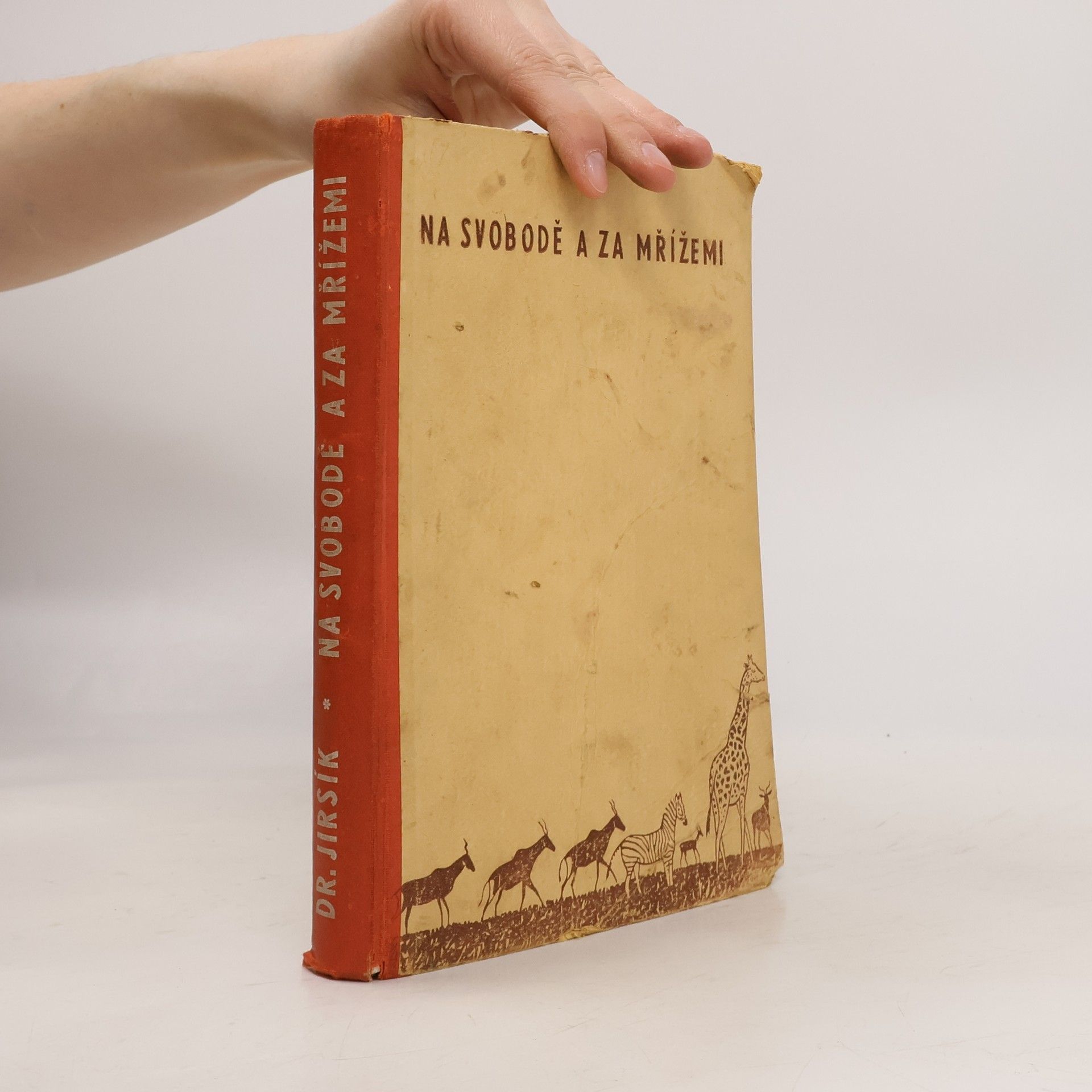 Josef Jirsík Na svobodě a za mřížemi