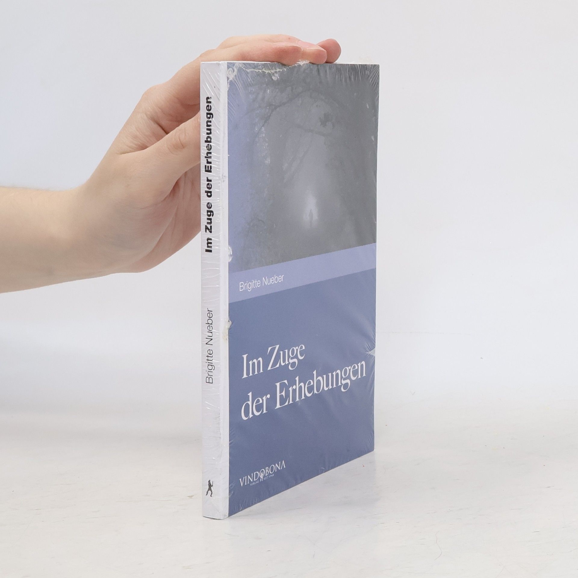 Brigitte Nueber Im Zuge der Erhebungen