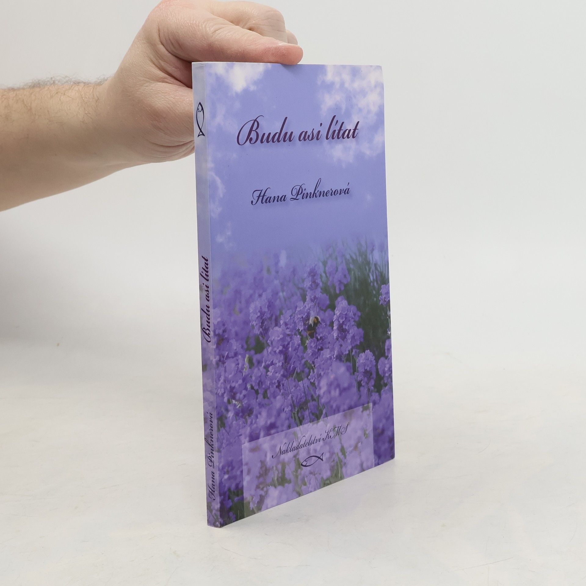 Hana Pinknerová Budu asi lítat