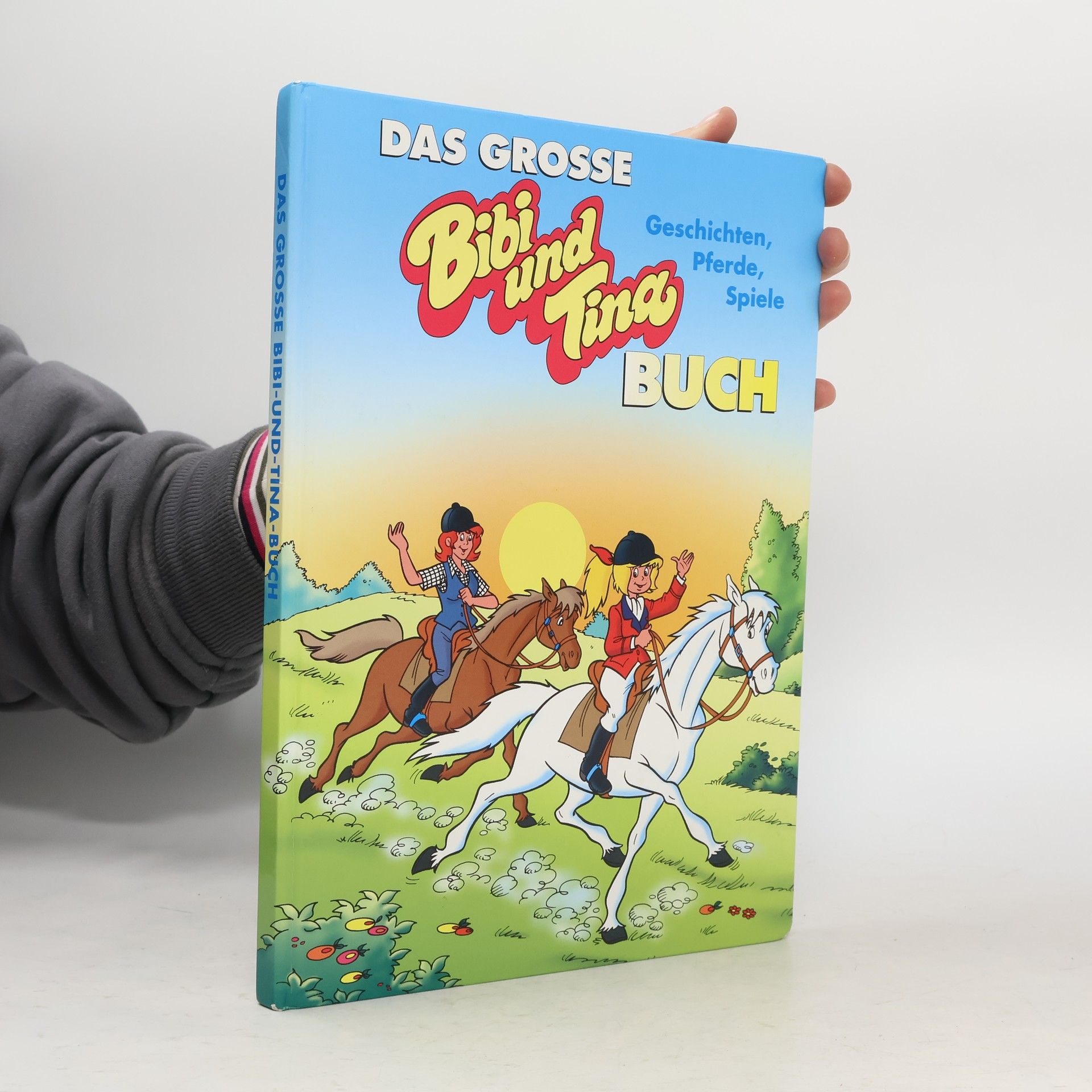 Various authors Das grosse Bibi-und-Tina-Buch