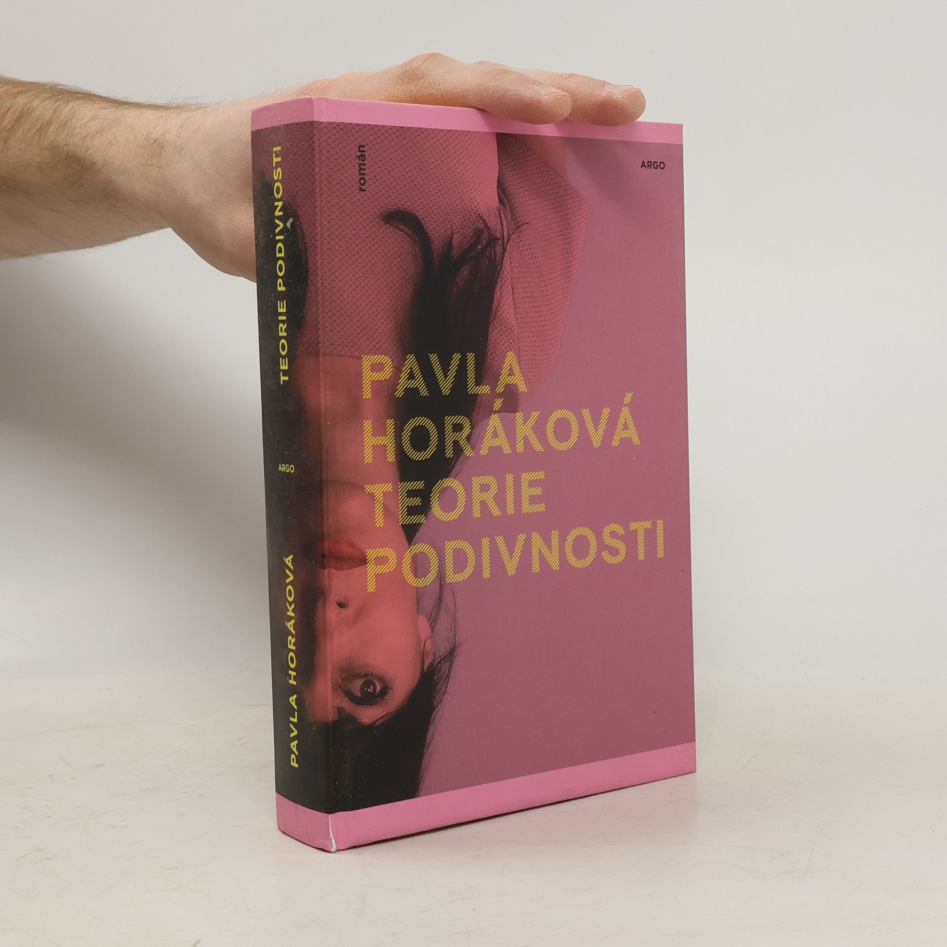 Pavla Horáková Teorie podivnosti