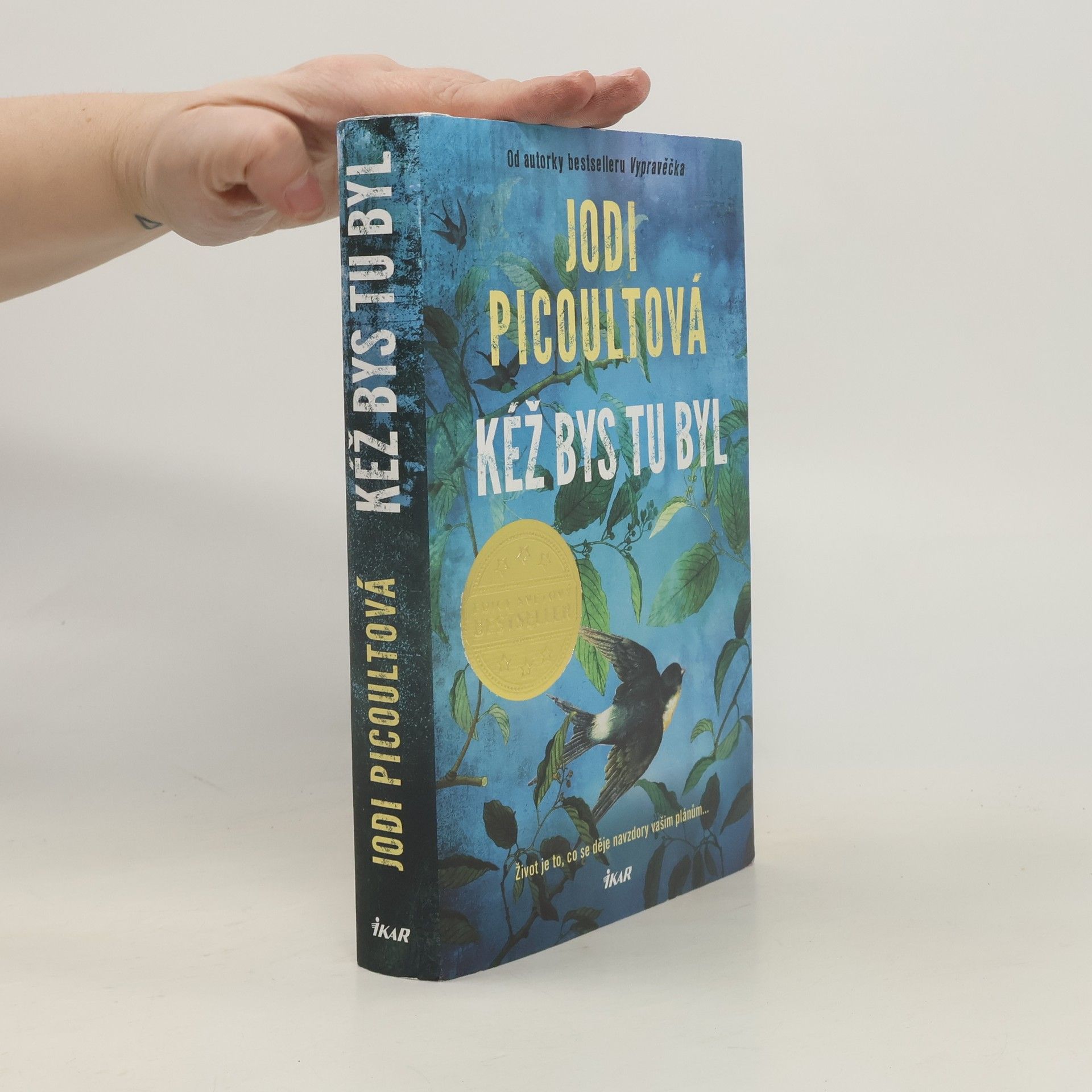 Marcela Nejedlá Kéž bys tu byl