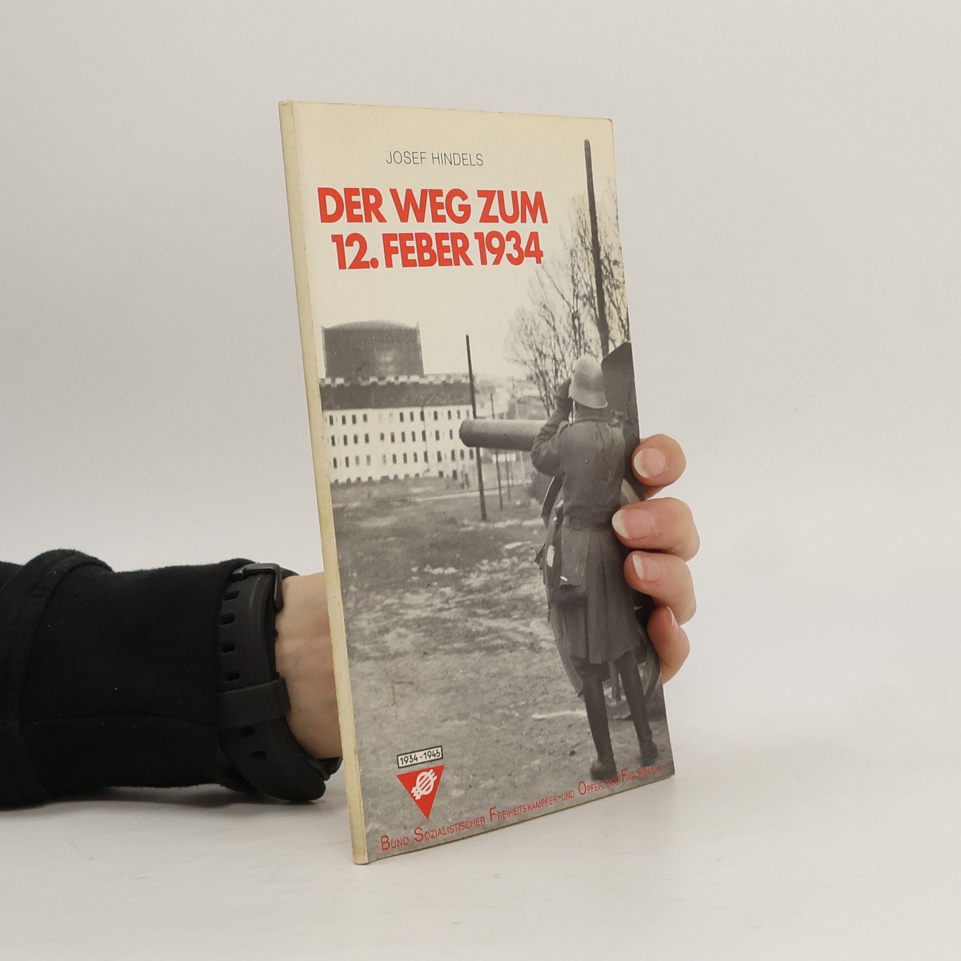 Der Weg zum 12. Februar 1934
