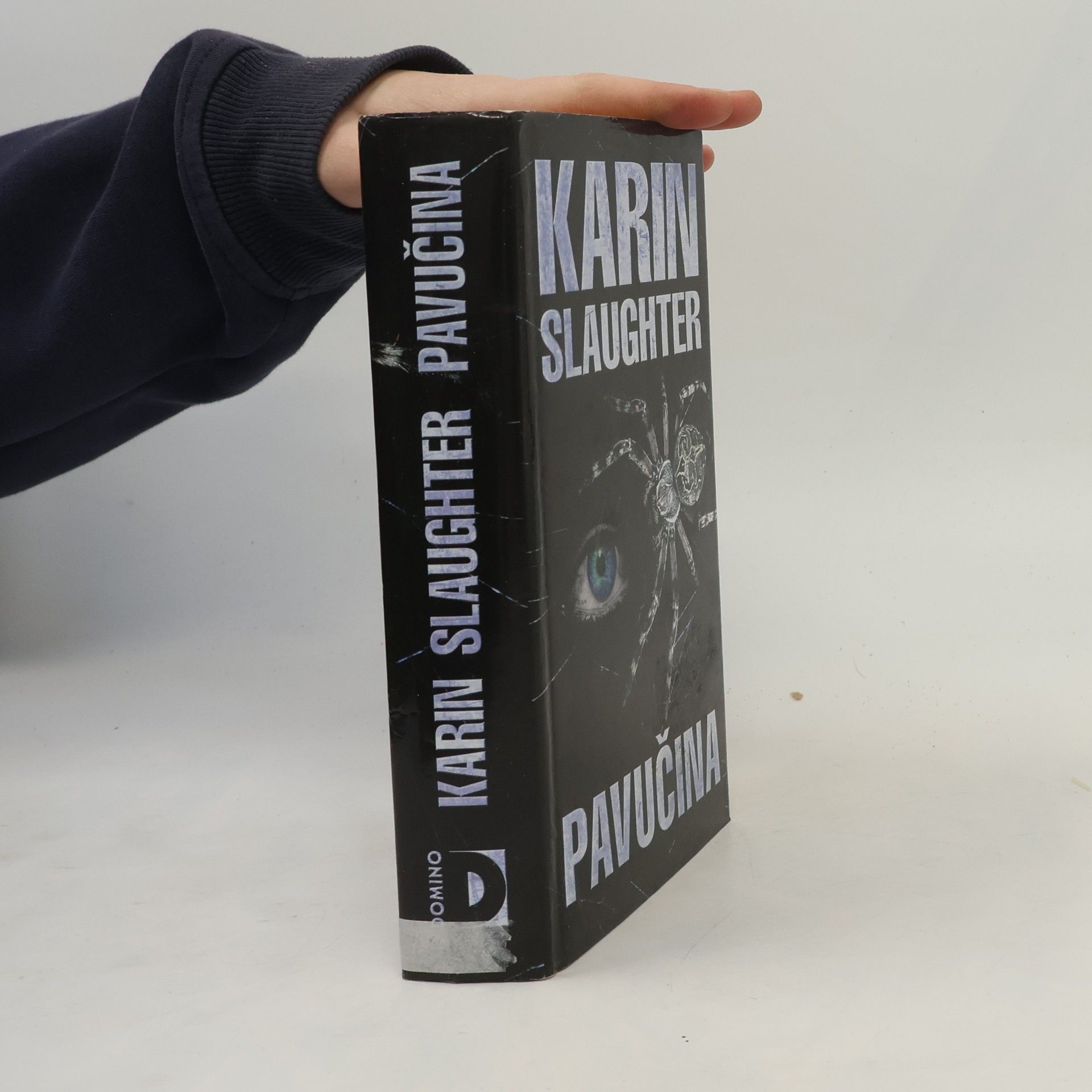 Karin Slaughter Pavučina