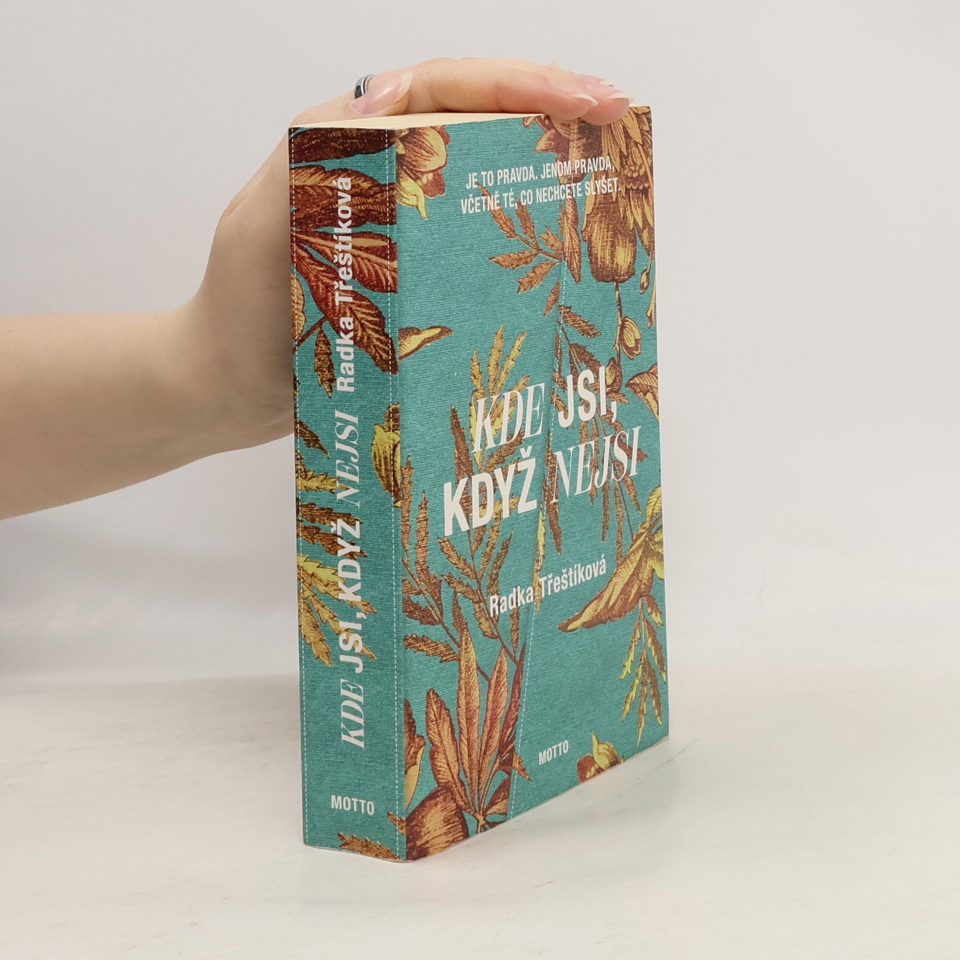 Radka Třeštíková Kde jsi, když nejsi