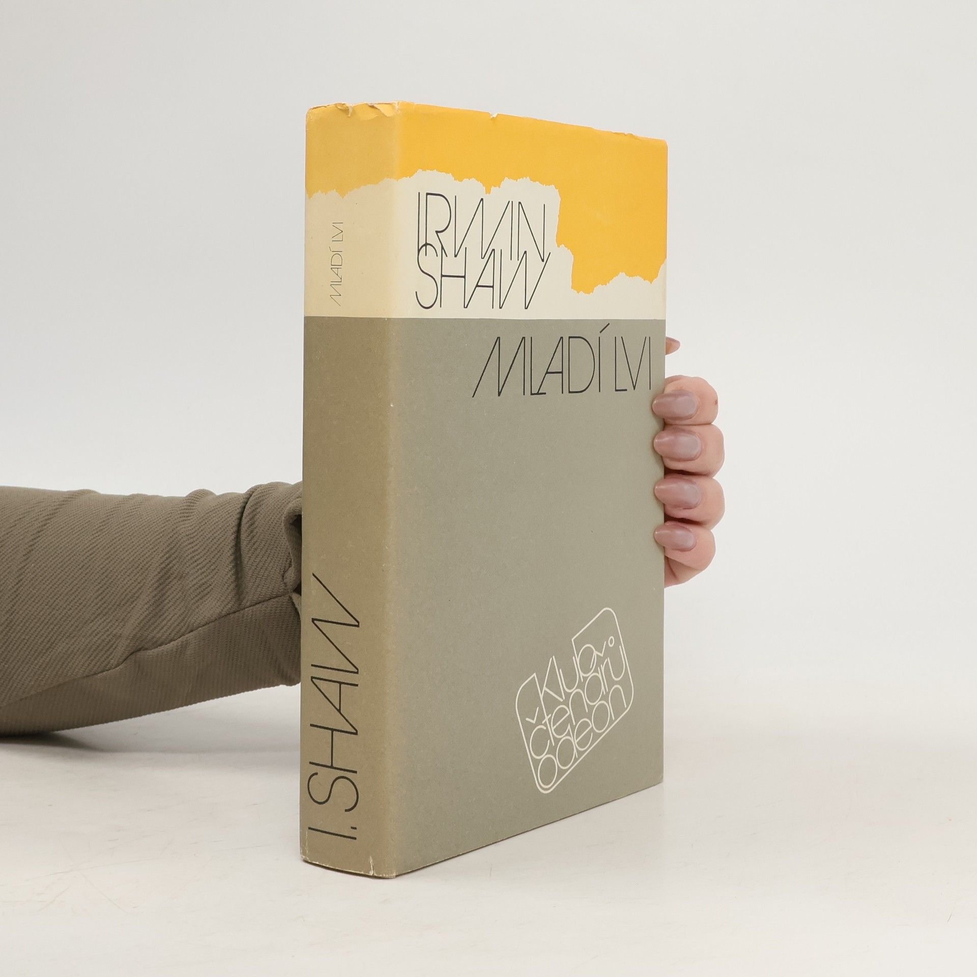 Irwin Shaw Mladí lvi