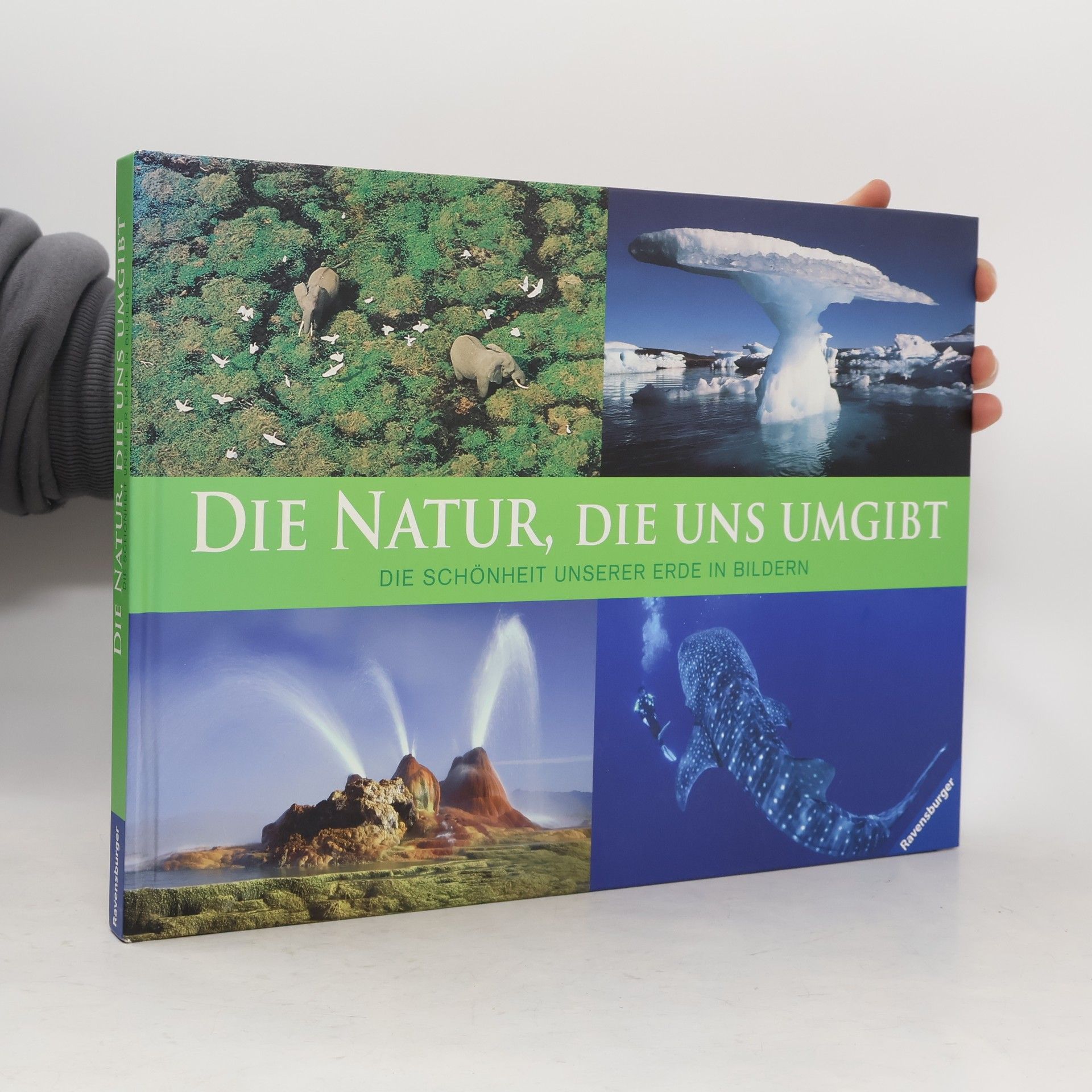 Yvonne Stein Die Natur, die uns umgibt