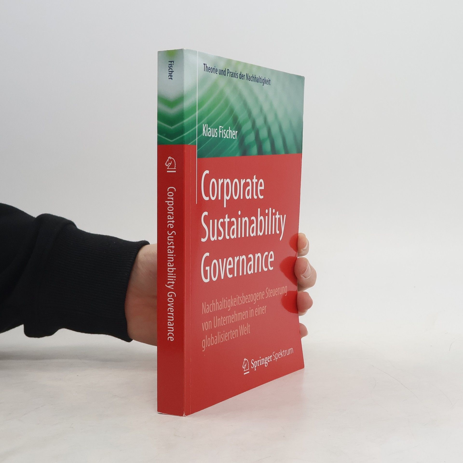 Klaus Fischer Theorie und Praxis der Nachhaltigkeit: Corporate Sustainability Governance
