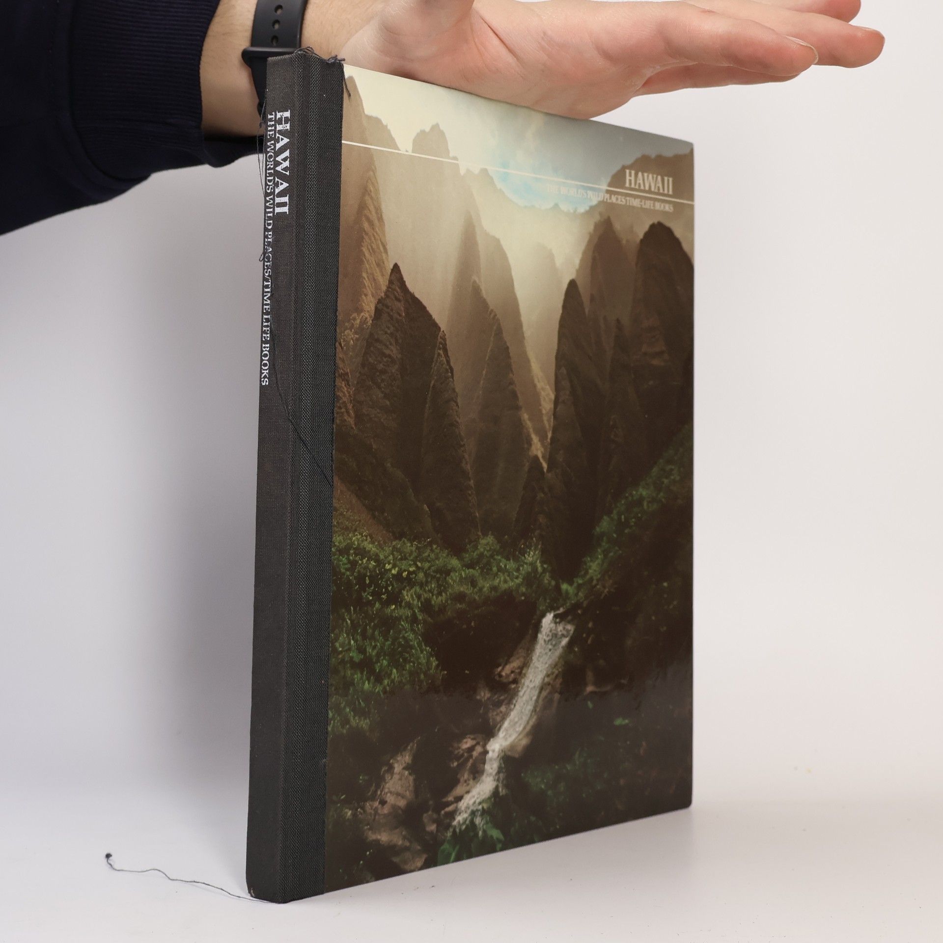 Robert Wallace Hawaii