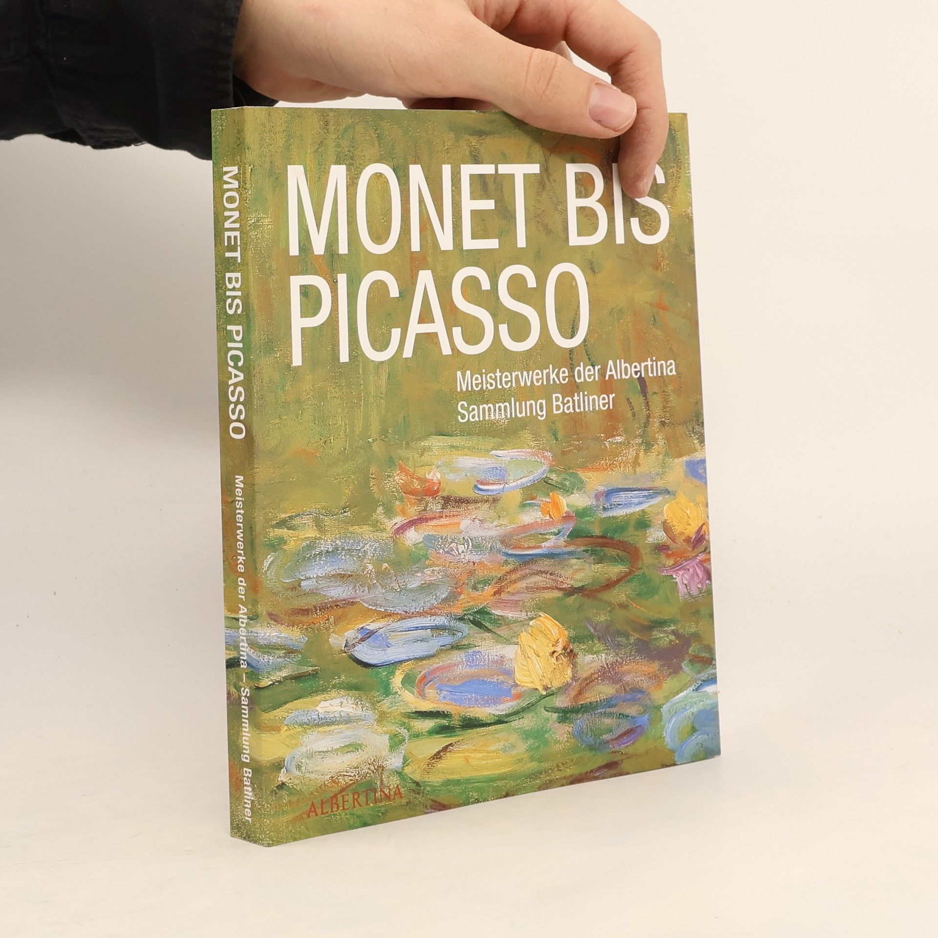 Kolektiv autorů Monet bis Picasso