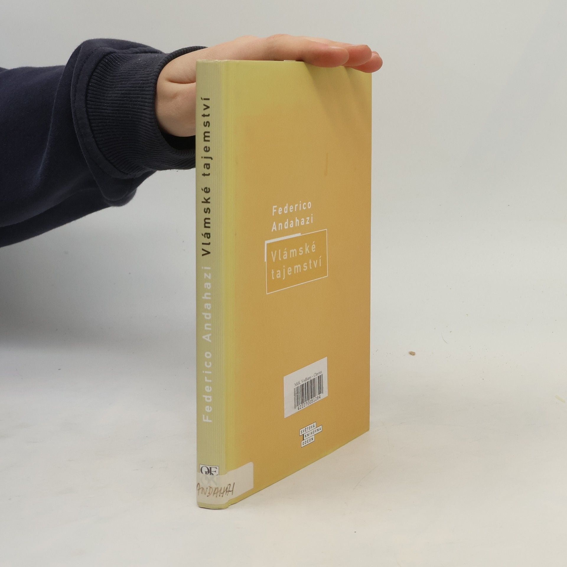 Federico Andahazi Vlámské tajemství