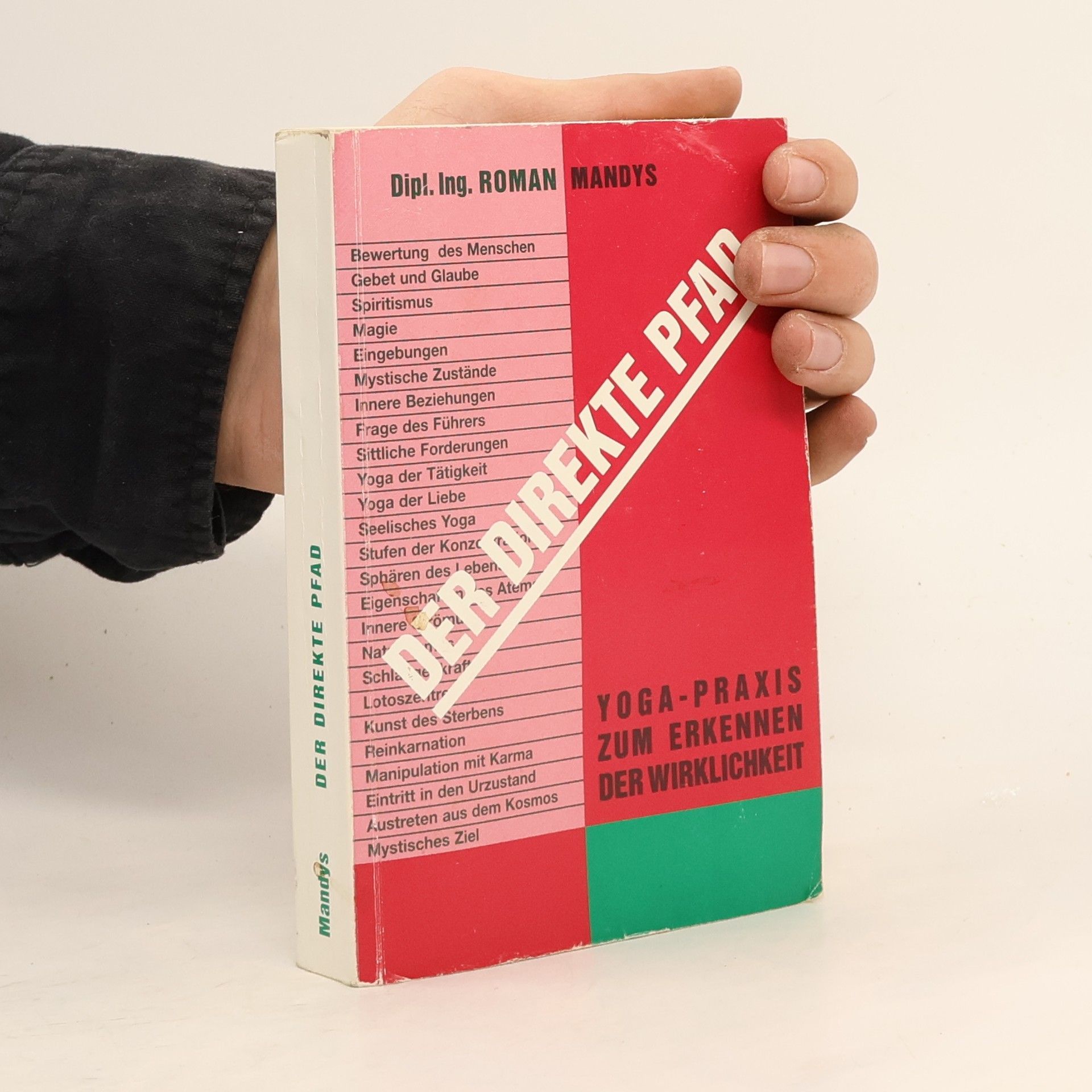 Roman Mandys Der direkte Pfad Yoga-Praxis