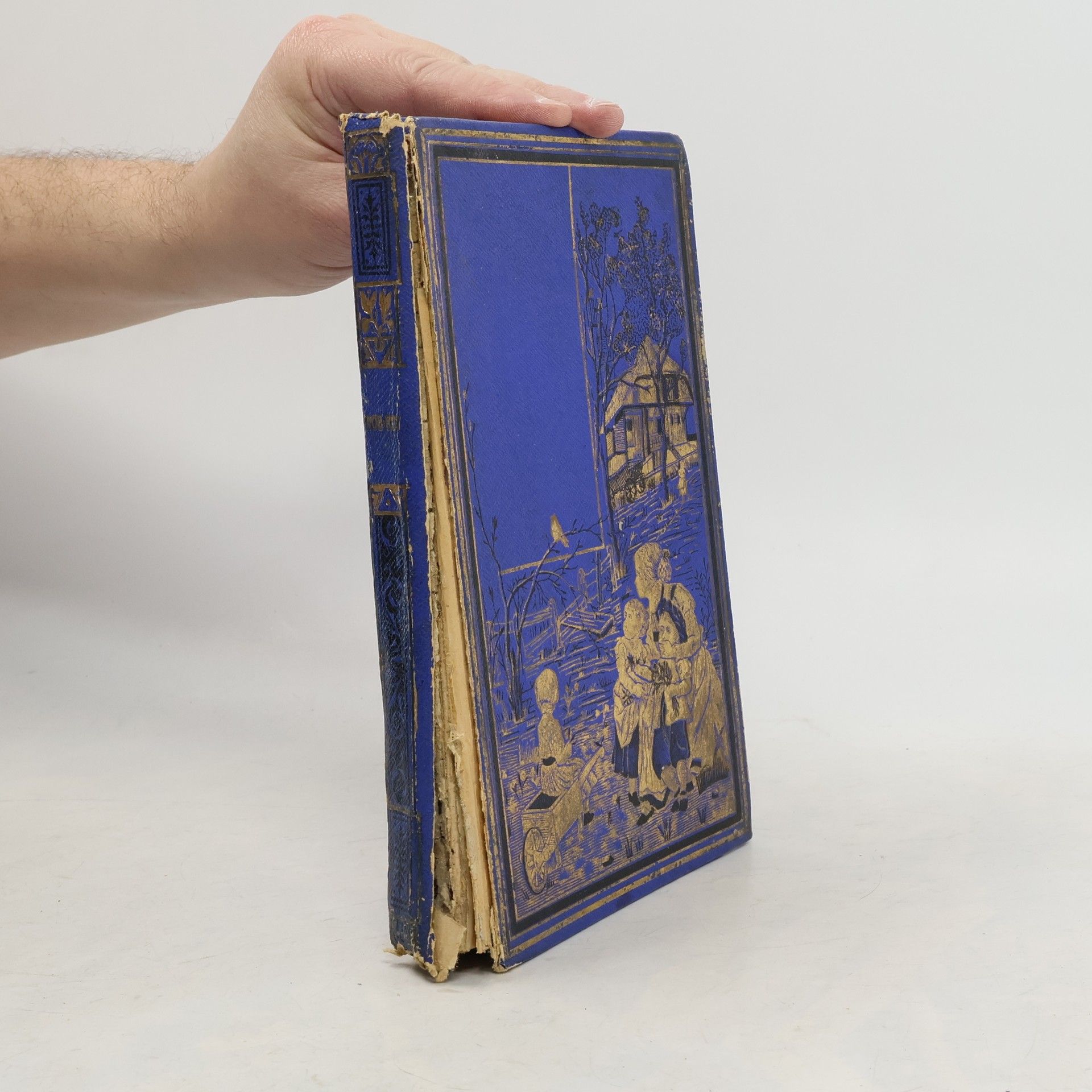 Walter Scott Rob-Roy