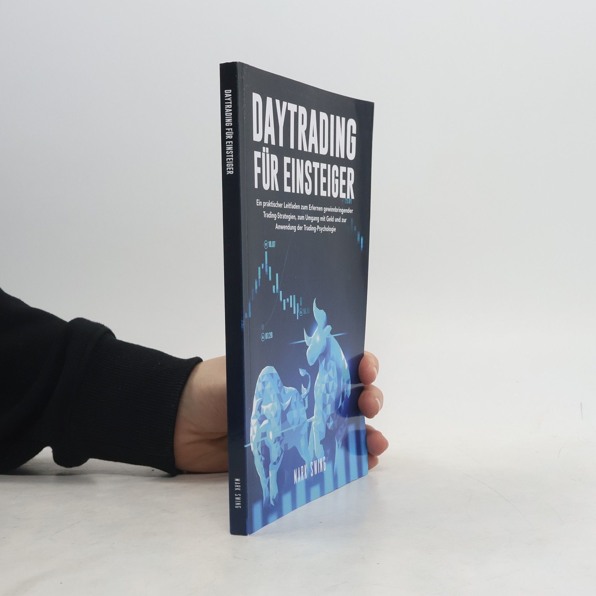 Mark Swing Daytrading für Einsteiger: Ein praktischer Leitfaden zum Erlernen gewinnbringender Trading-Strategien, zum Umgang mit Geld und zur Anwendung der Trading-Psychologie