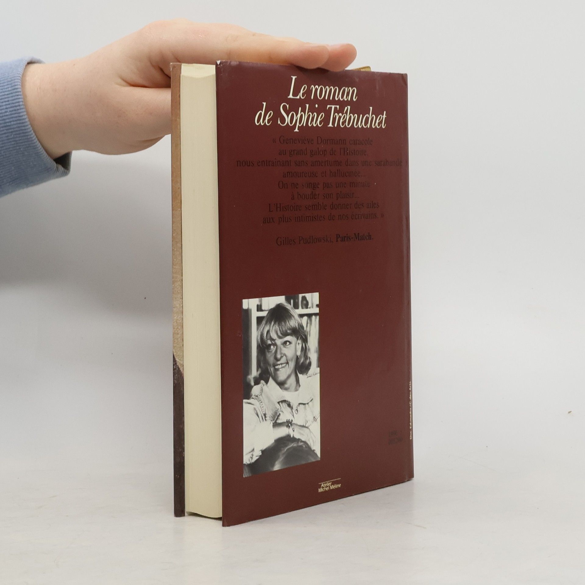 Geneviève Dormann Le roman de Sophie Trébuchet