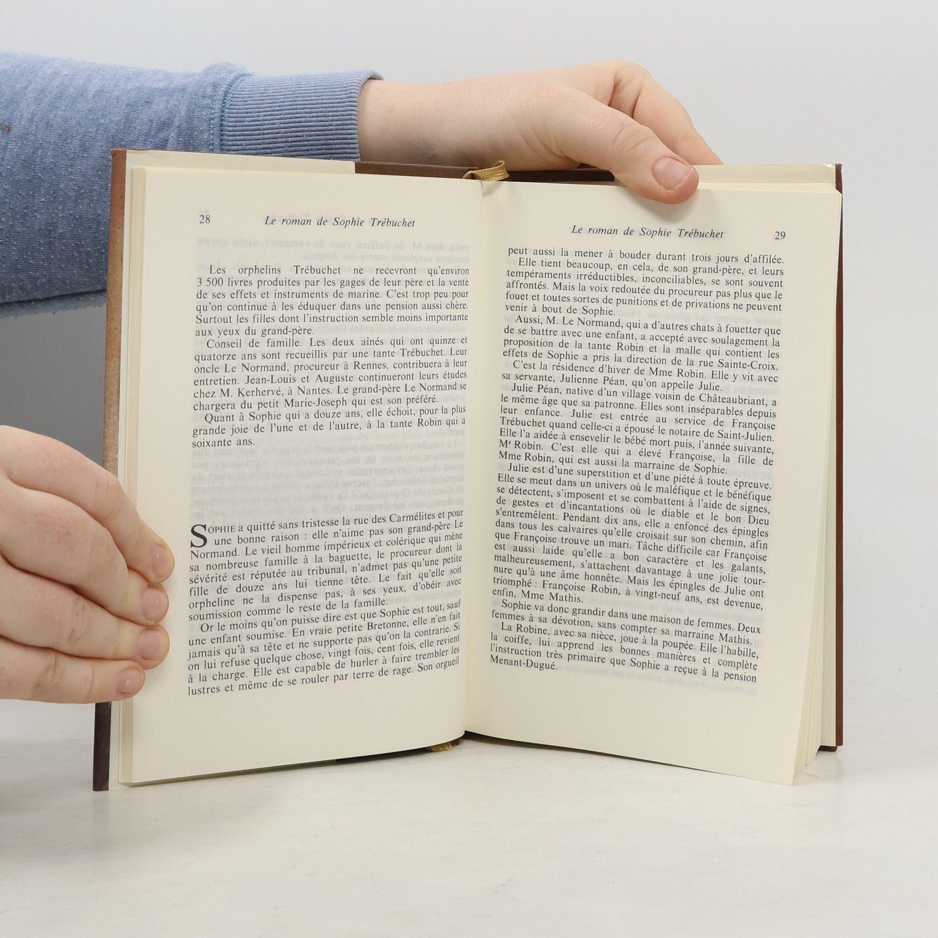 Geneviève Dormann Le roman de Sophie Trébuchet
