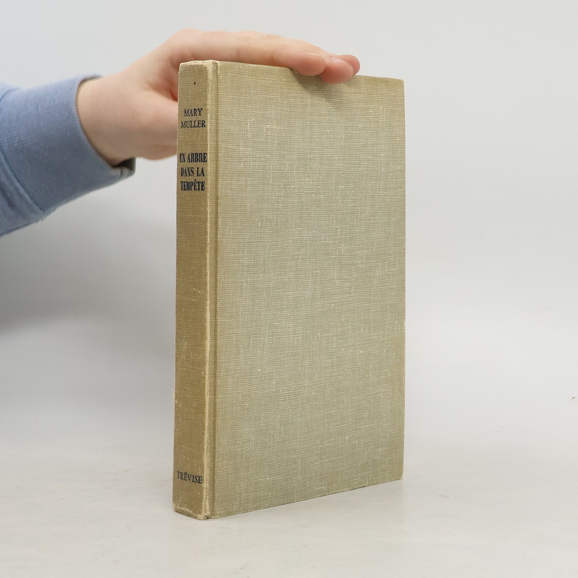 Un arbre dans la tempête