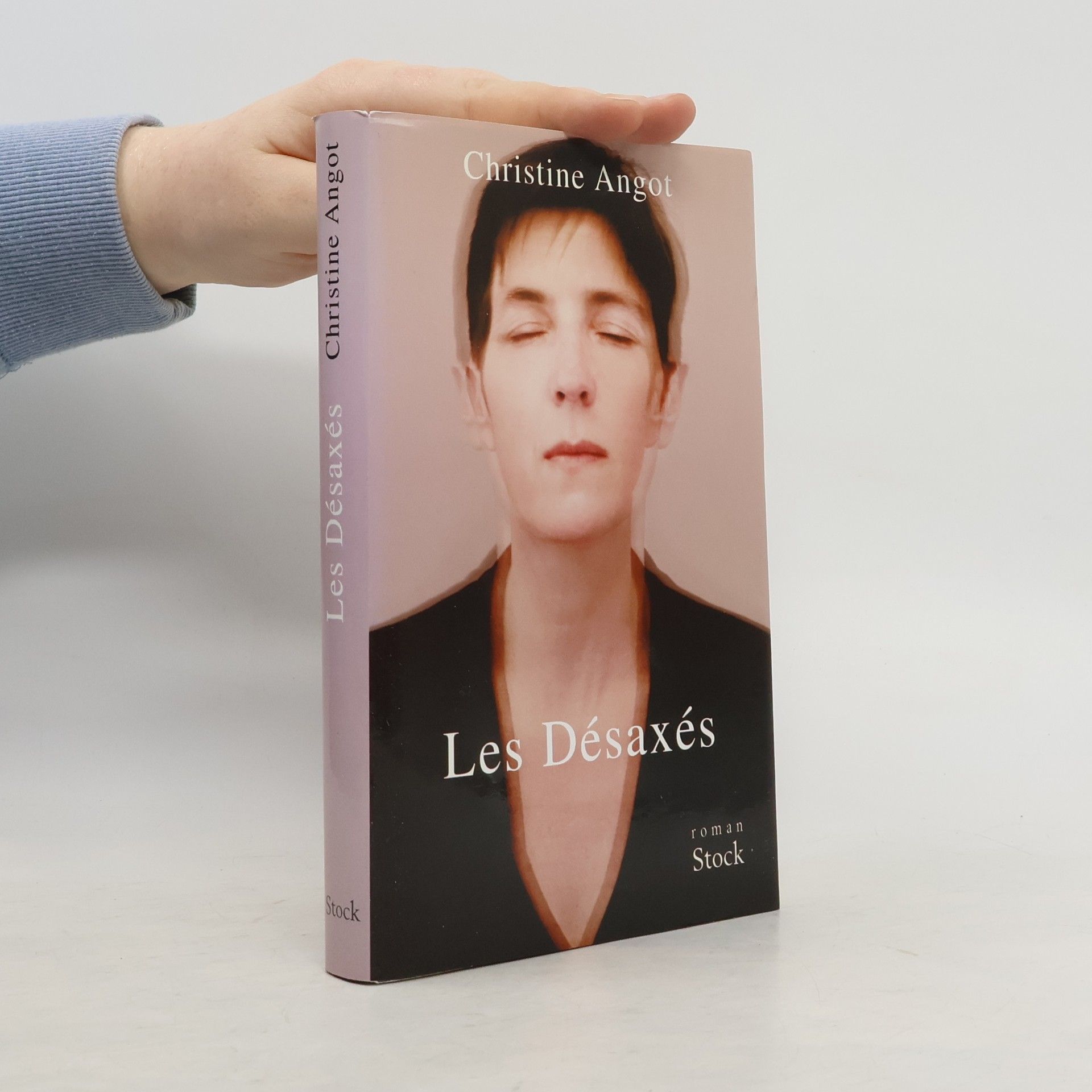 Christine Angot Les Désaxés