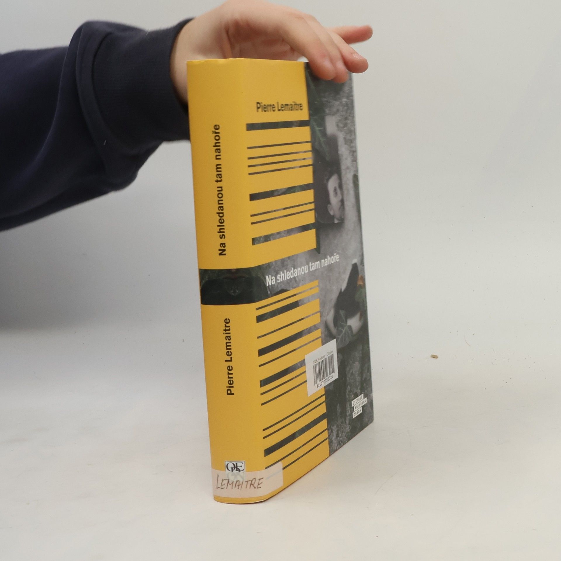 Pierre Lemaitre Na shledanou tam nahoře